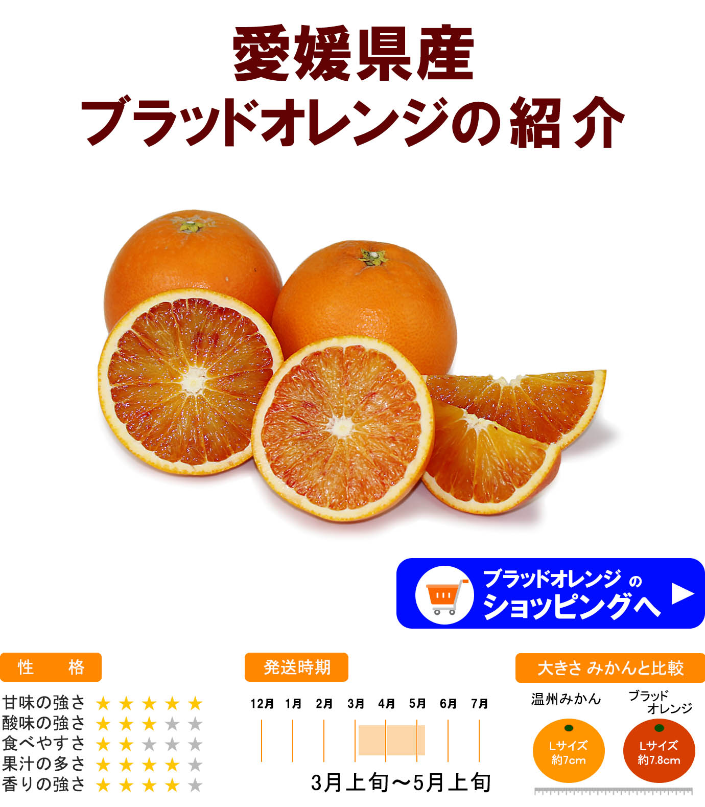 ��ɲ���������̼��� �֥�åɥ����