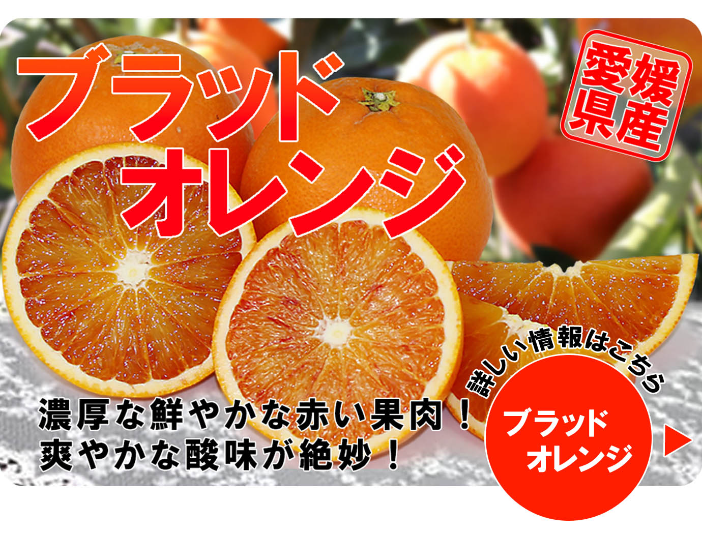 �֥�åɥ����