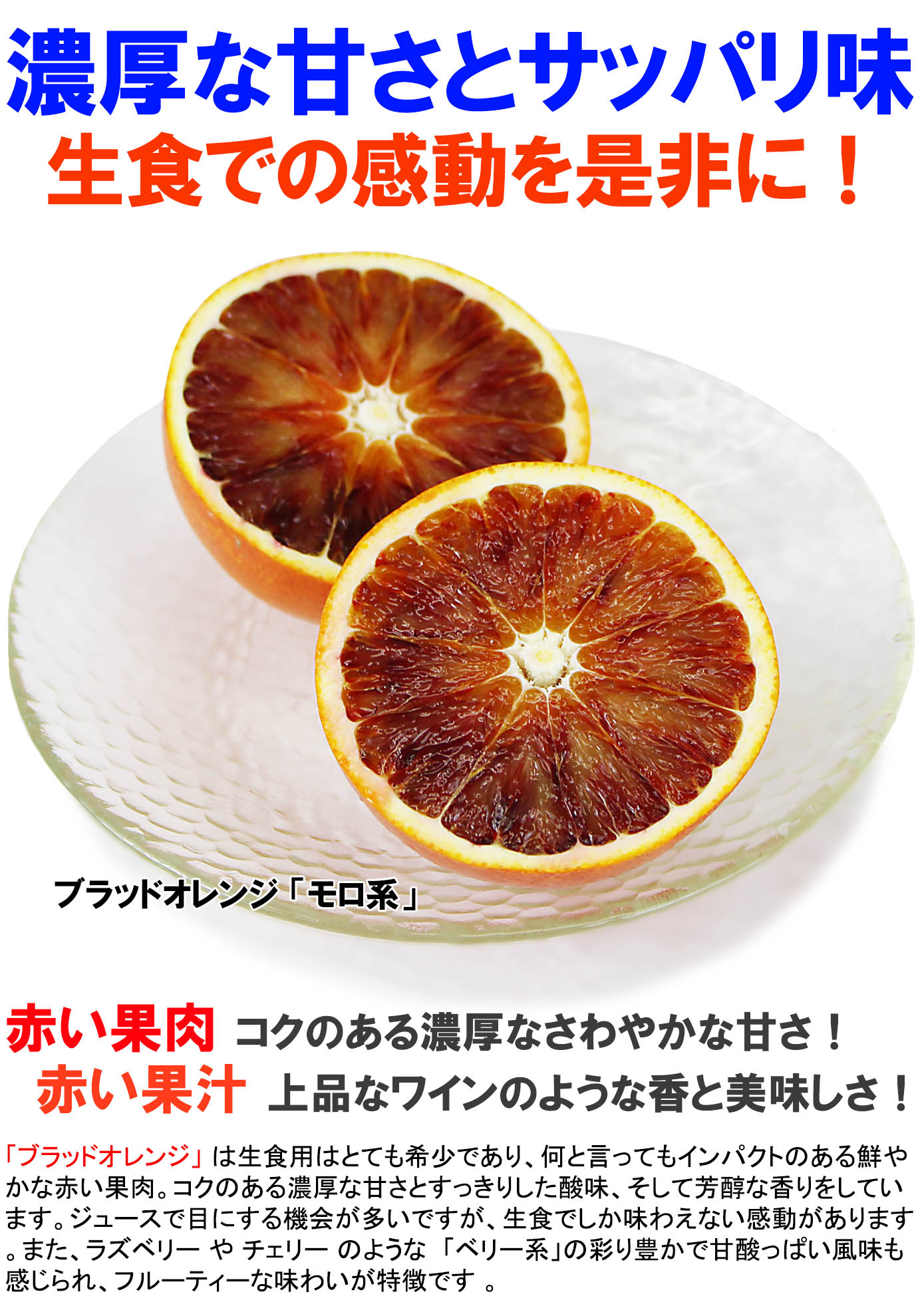 ��ɲ���������̼��� �֥�åɥ����