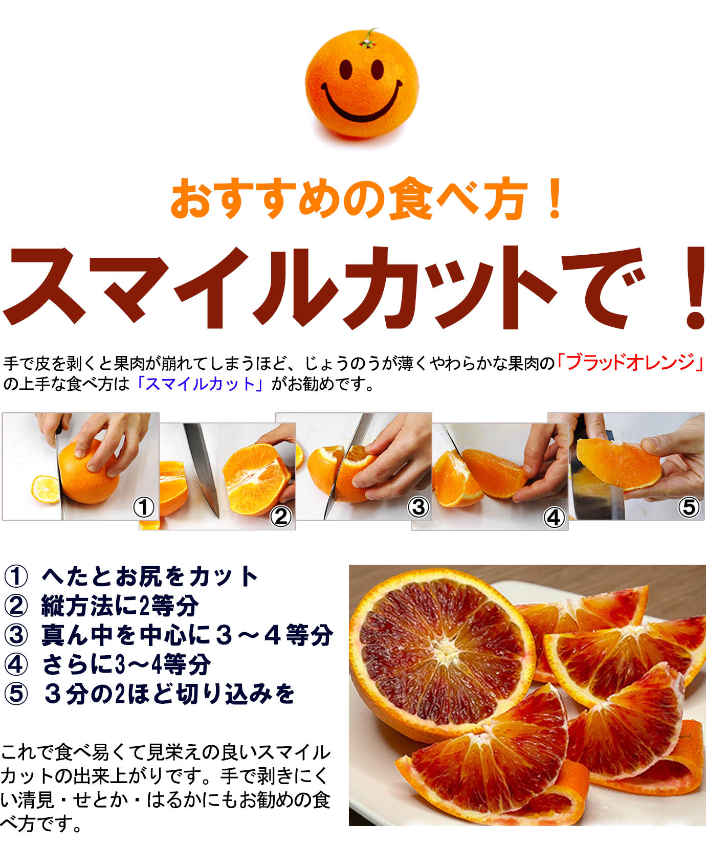 ��ɲ���������̼��� �֥�åɥ����