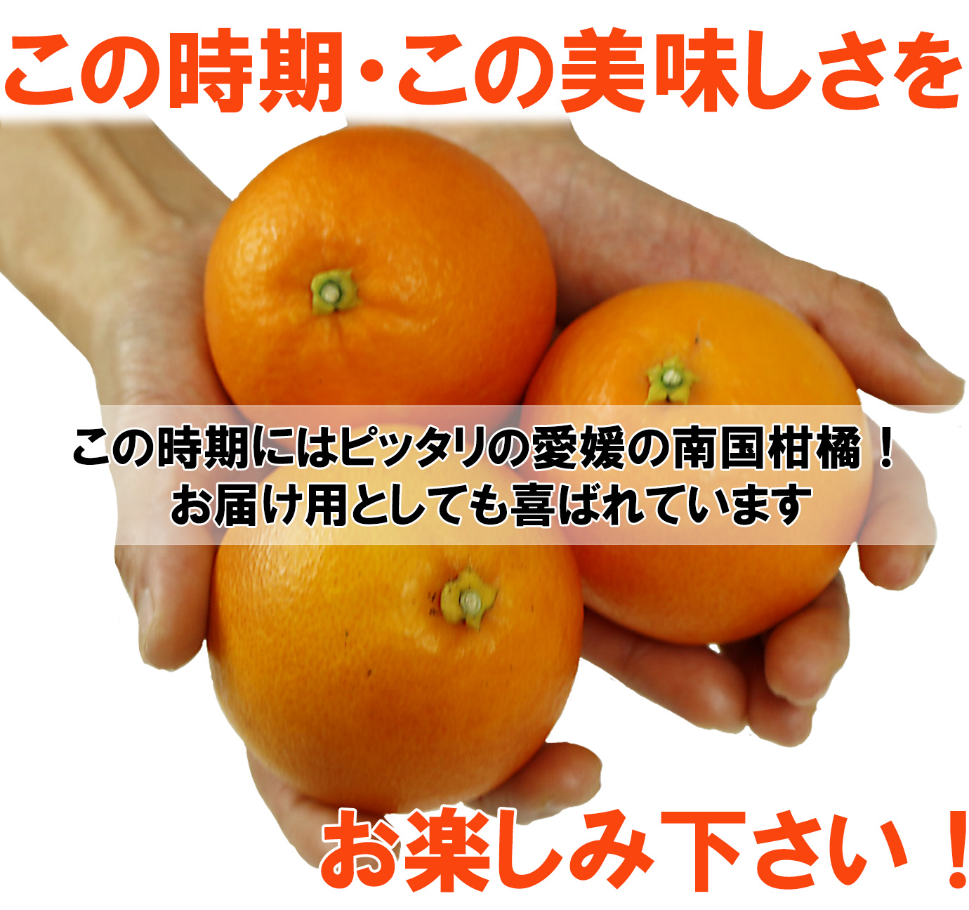 ��ɲ���������̼��� �֥�åɥ����