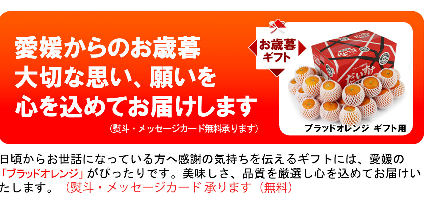 ��ɲ���������̼��� �֥�åɥ����