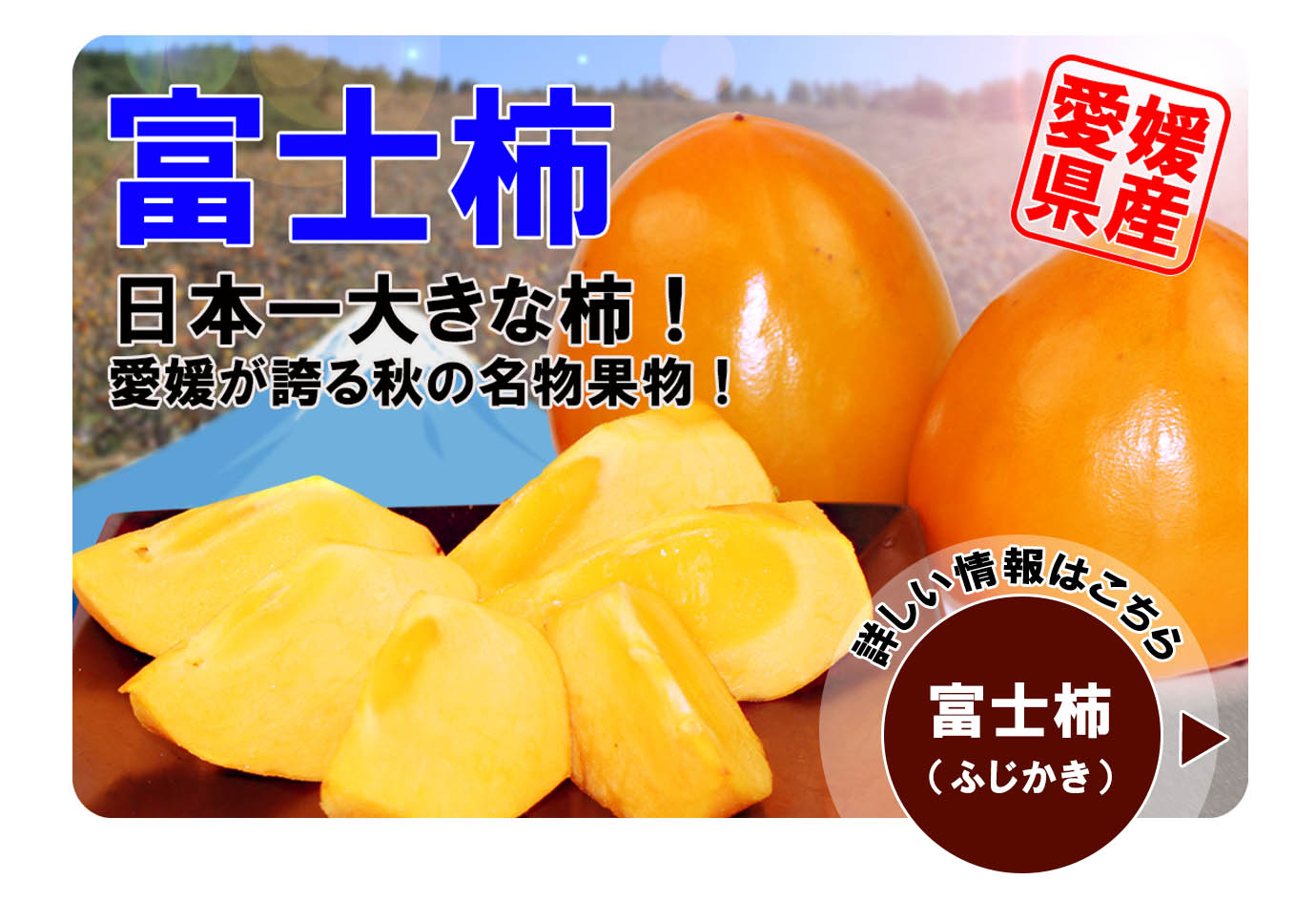 愛媛だいすけ果樹園 - 富士柿(ふじかき）｜Yahoo!ショッピング