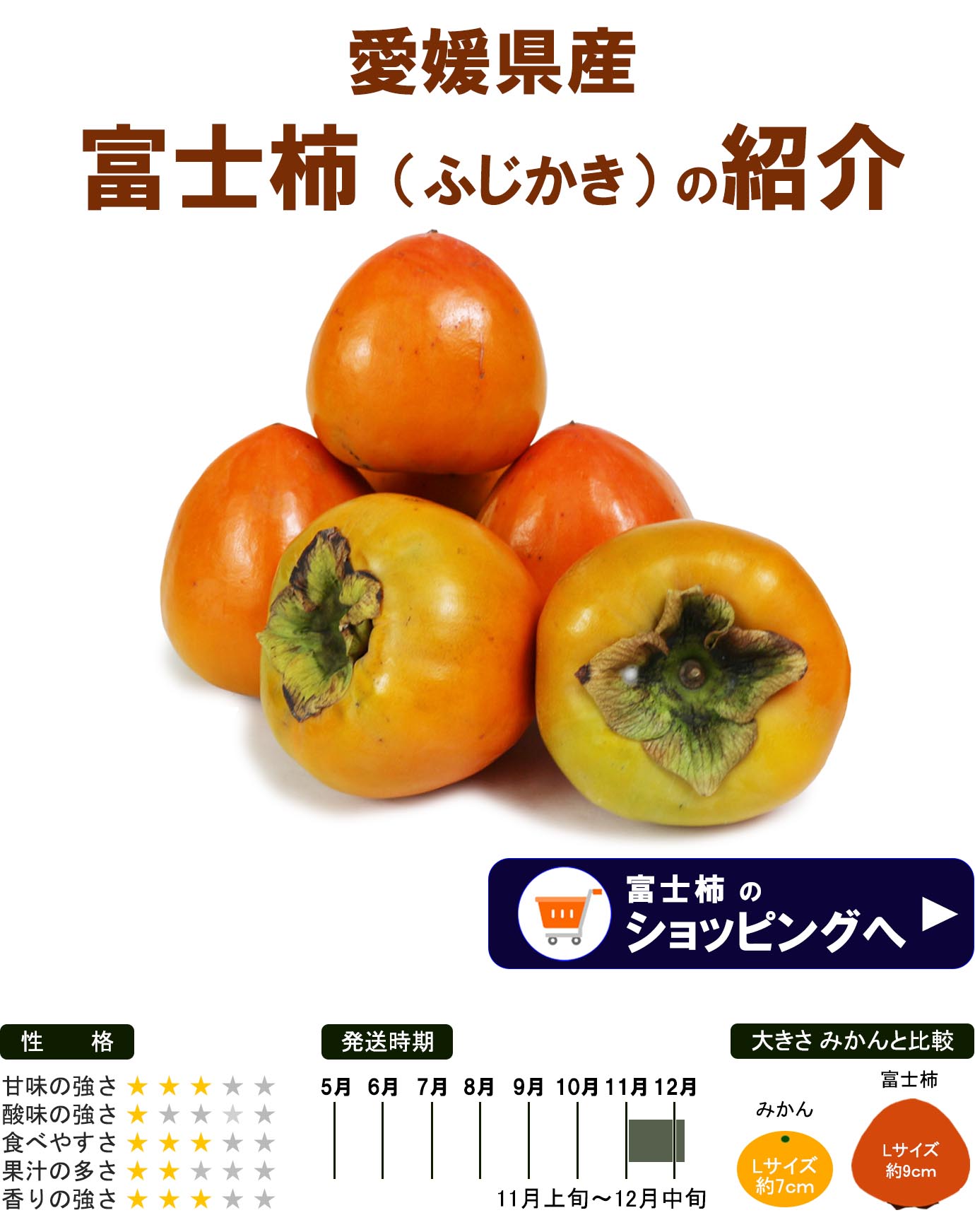 ��ɲ���������̼��� �ٻγ��ʤդ������� 