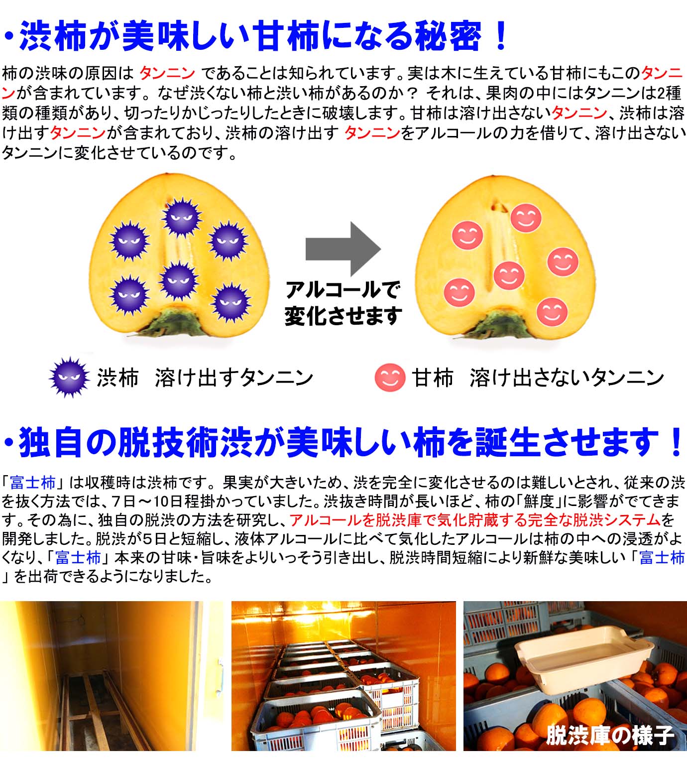 ��ɲ���������̼��� �ٻγ��ʤդ������� 