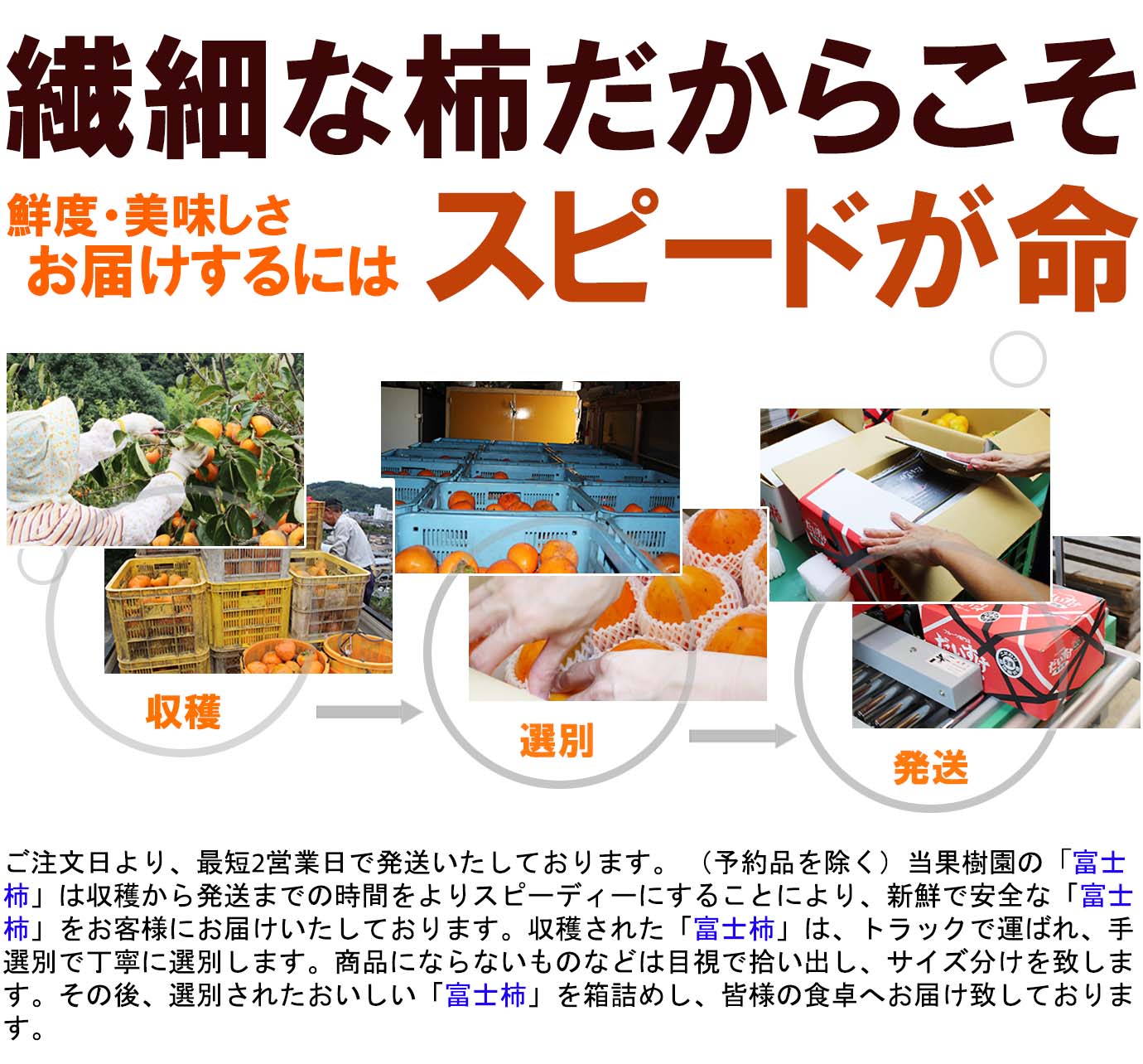 ��ɲ���������̼��� �ٻγ��ʤդ������� 