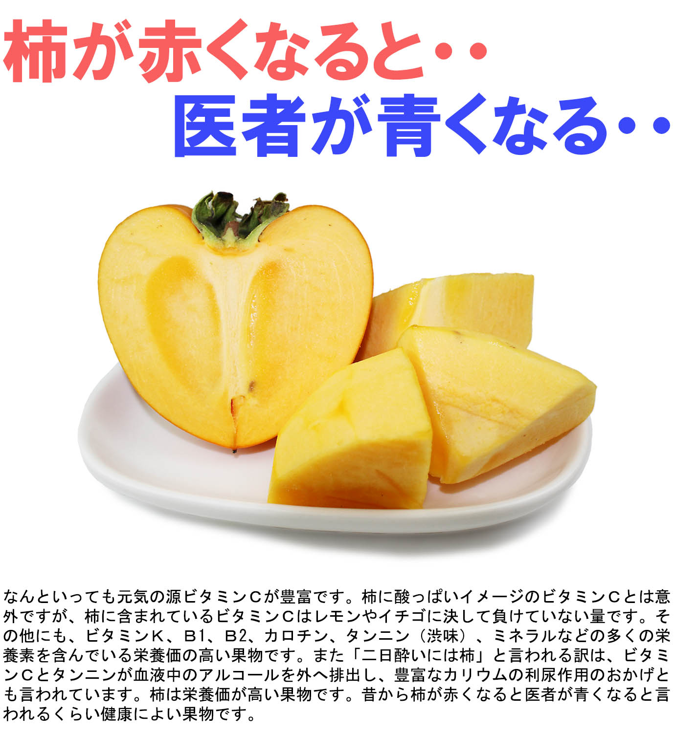 ��ɲ���������̼��� �ٻγ��ʤդ������� 