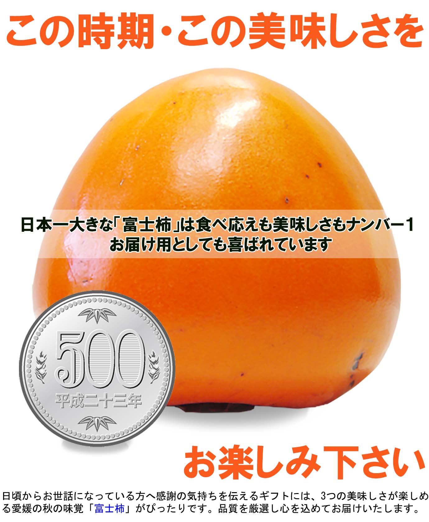 ��ɲ���������̼��� �ٻγ��ʤդ������� 