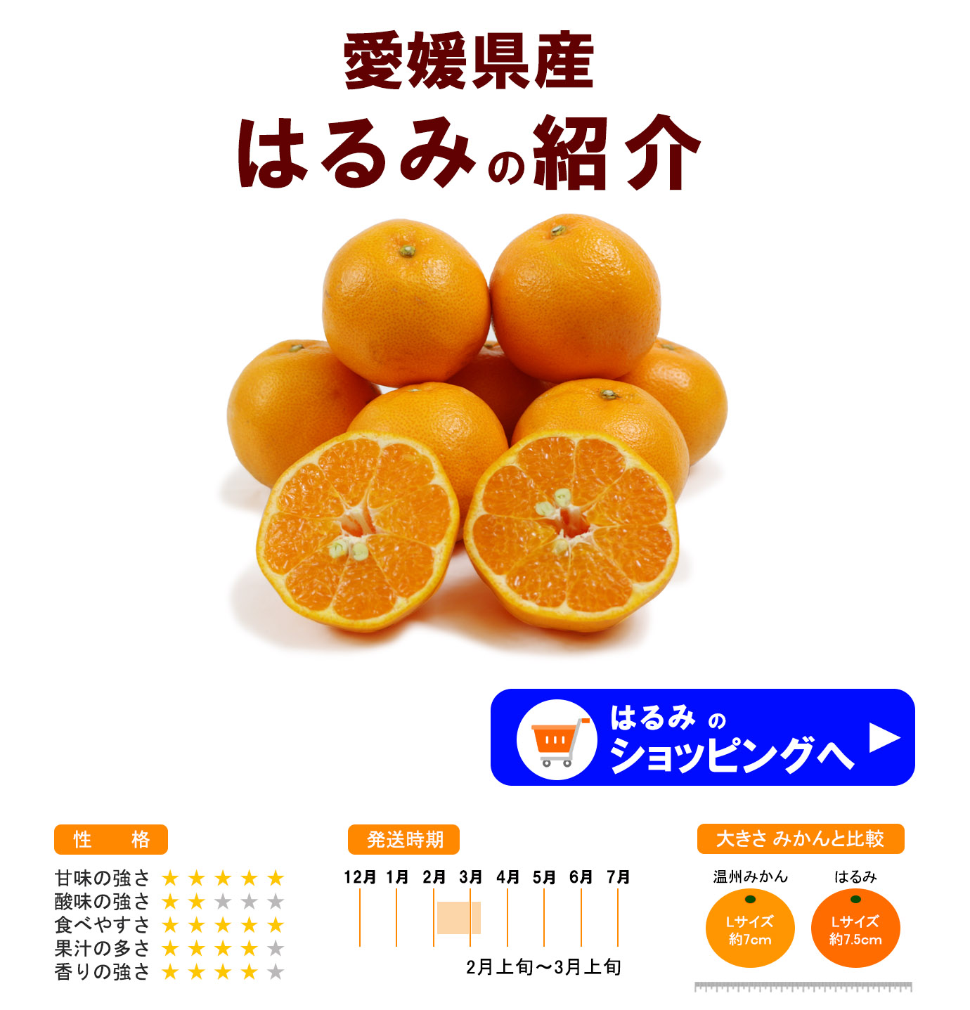 ��ɲ���������̼��� �Ϥ��