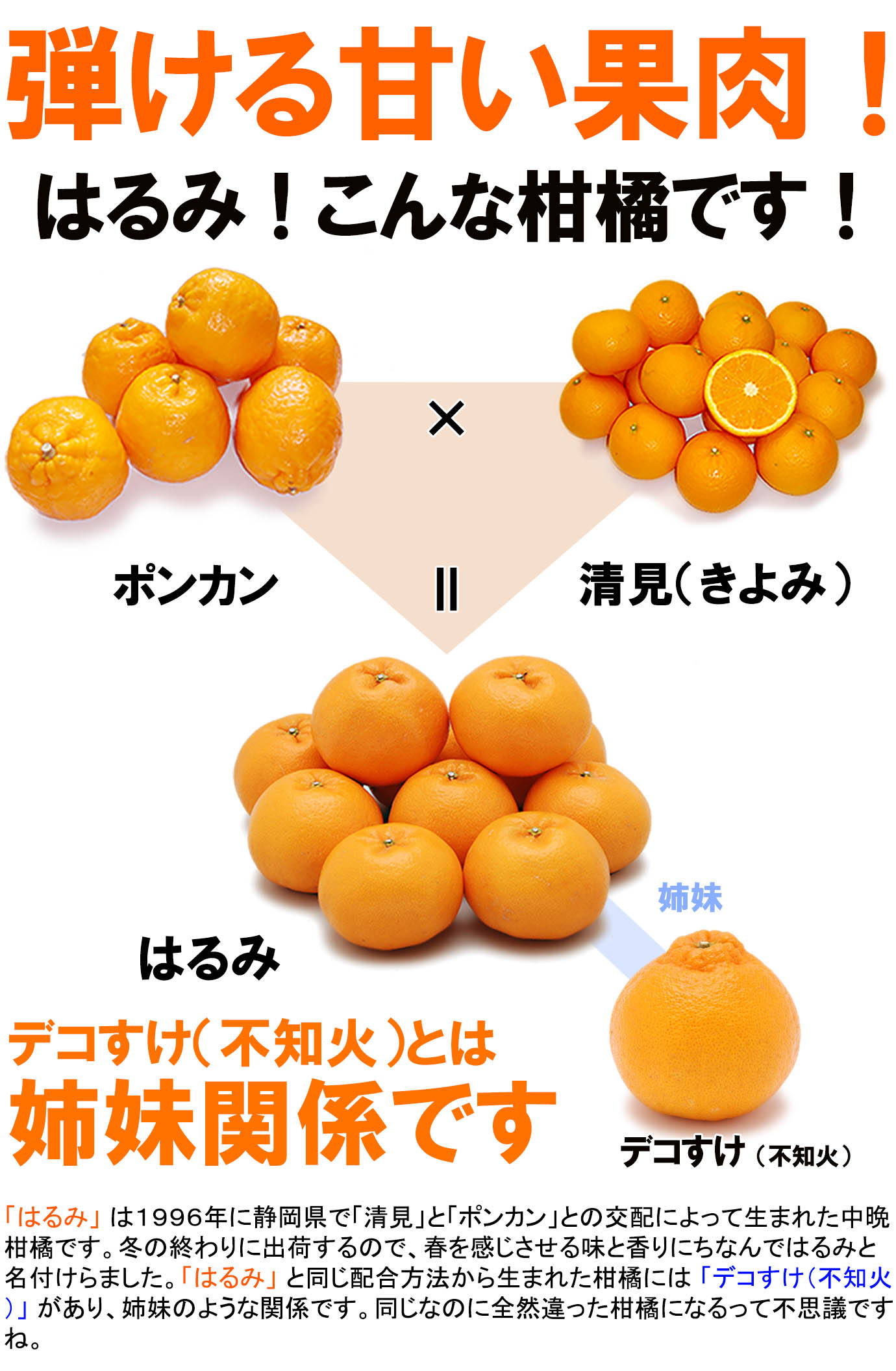 ��ɲ���������̼��� �Ϥ��