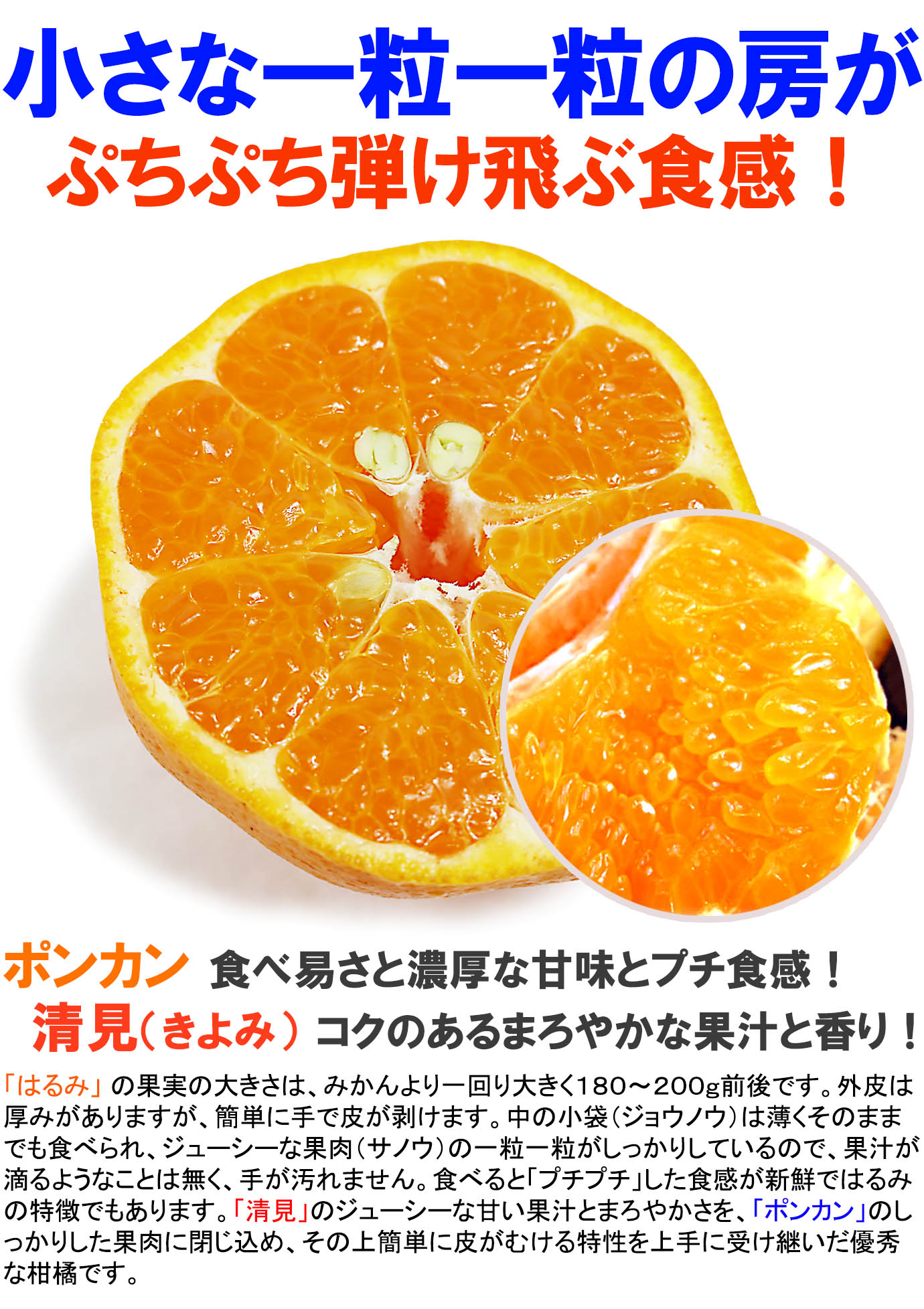 ��ɲ���������̼��� �Ϥ��