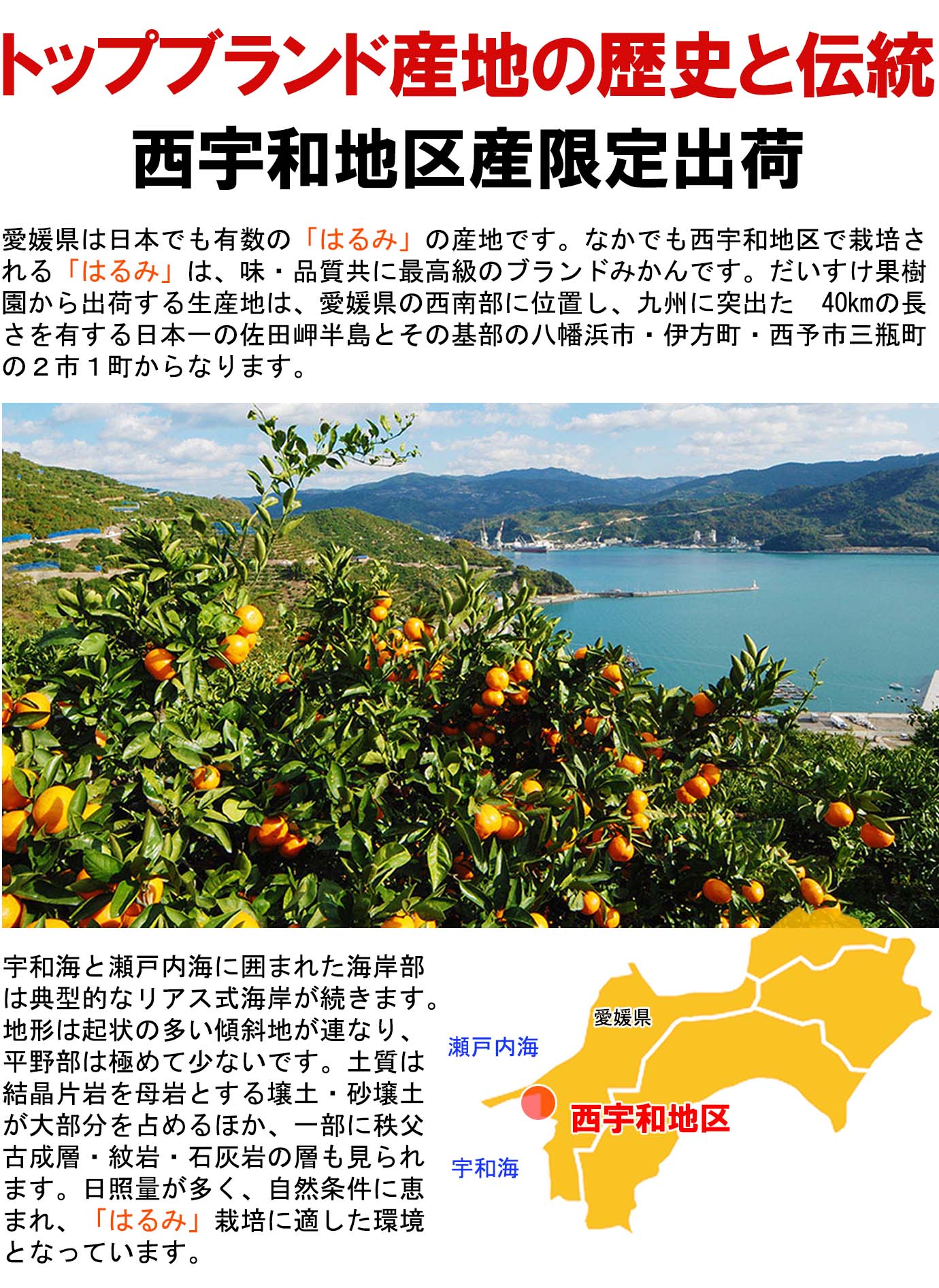 ��ɲ���������̼��� �Ϥ��