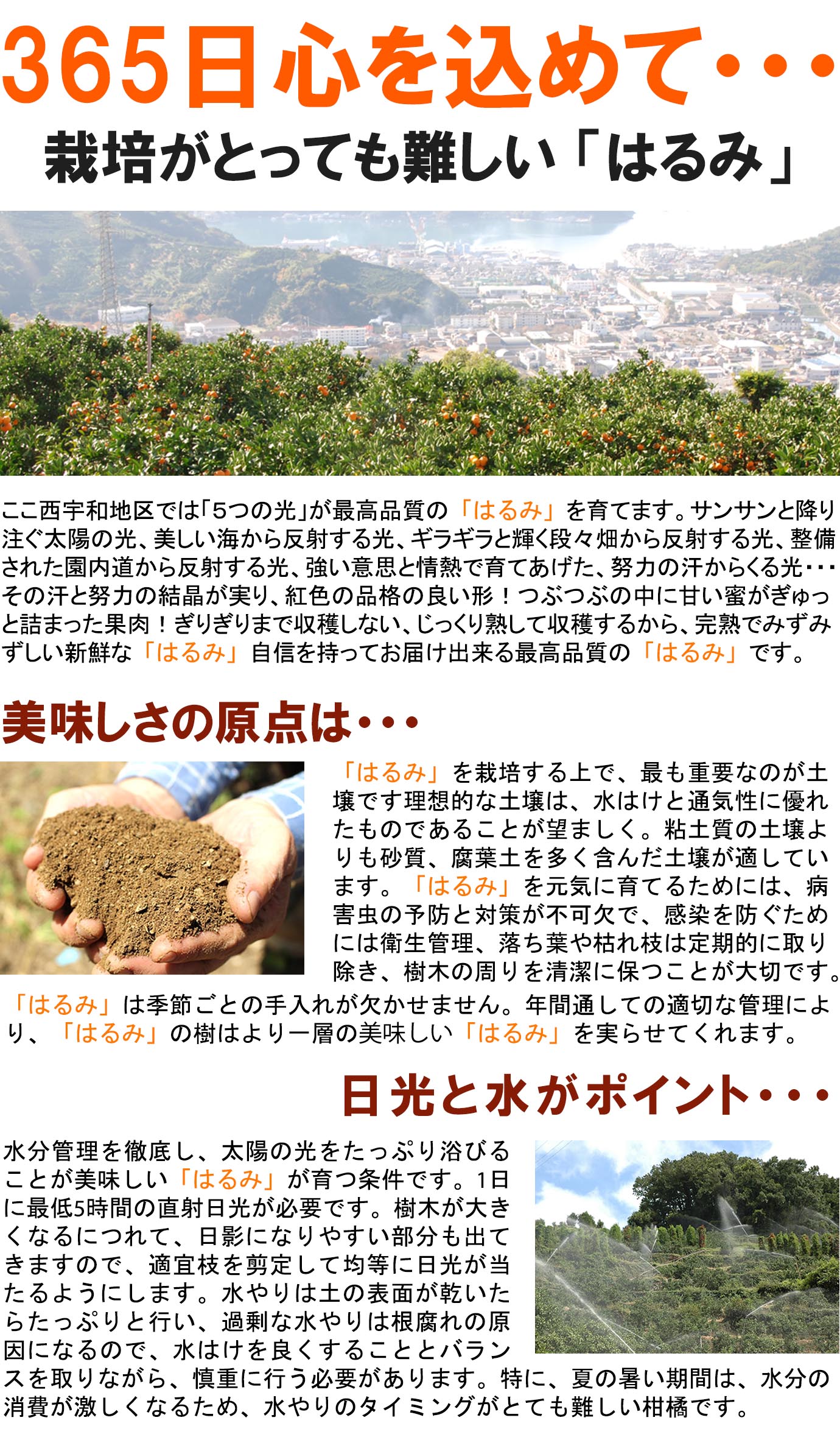 ��ɲ���������̼��� �Ϥ��