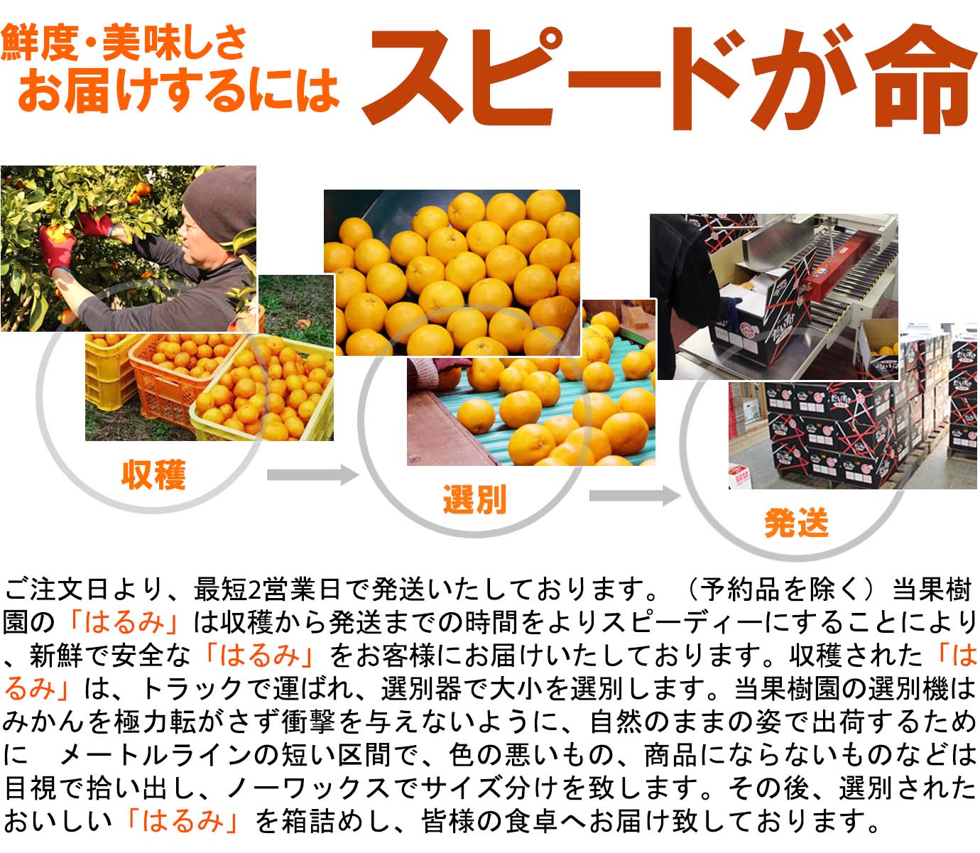 ��ɲ���������̼��� �Ϥ��