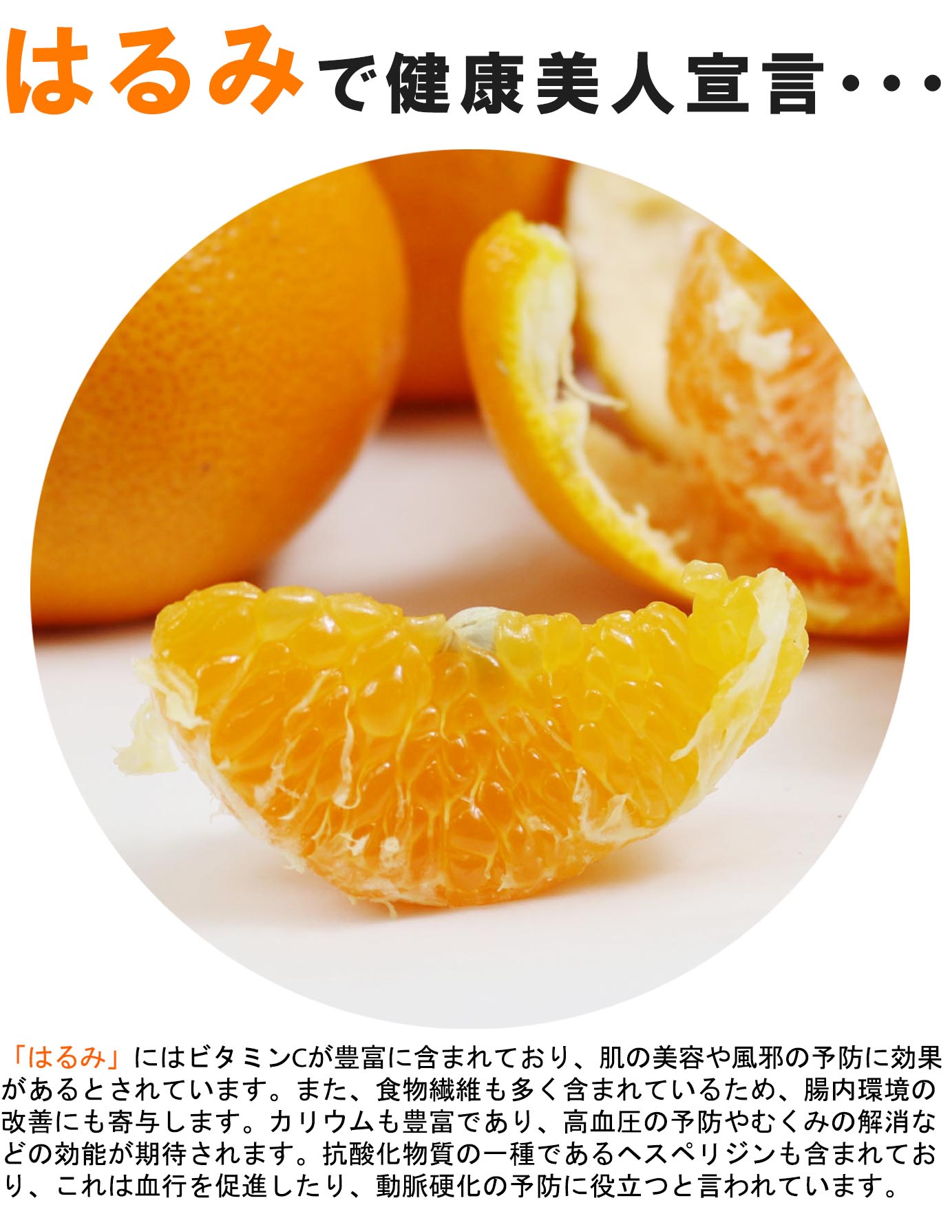 ��ɲ���������̼��� �Ϥ��