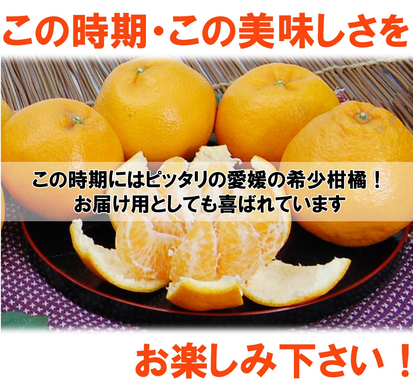 ��ɲ���������̼��� �Ϥ��