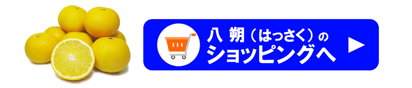 ��ɲ���������̼��� Ȭ��ʤϤä�����