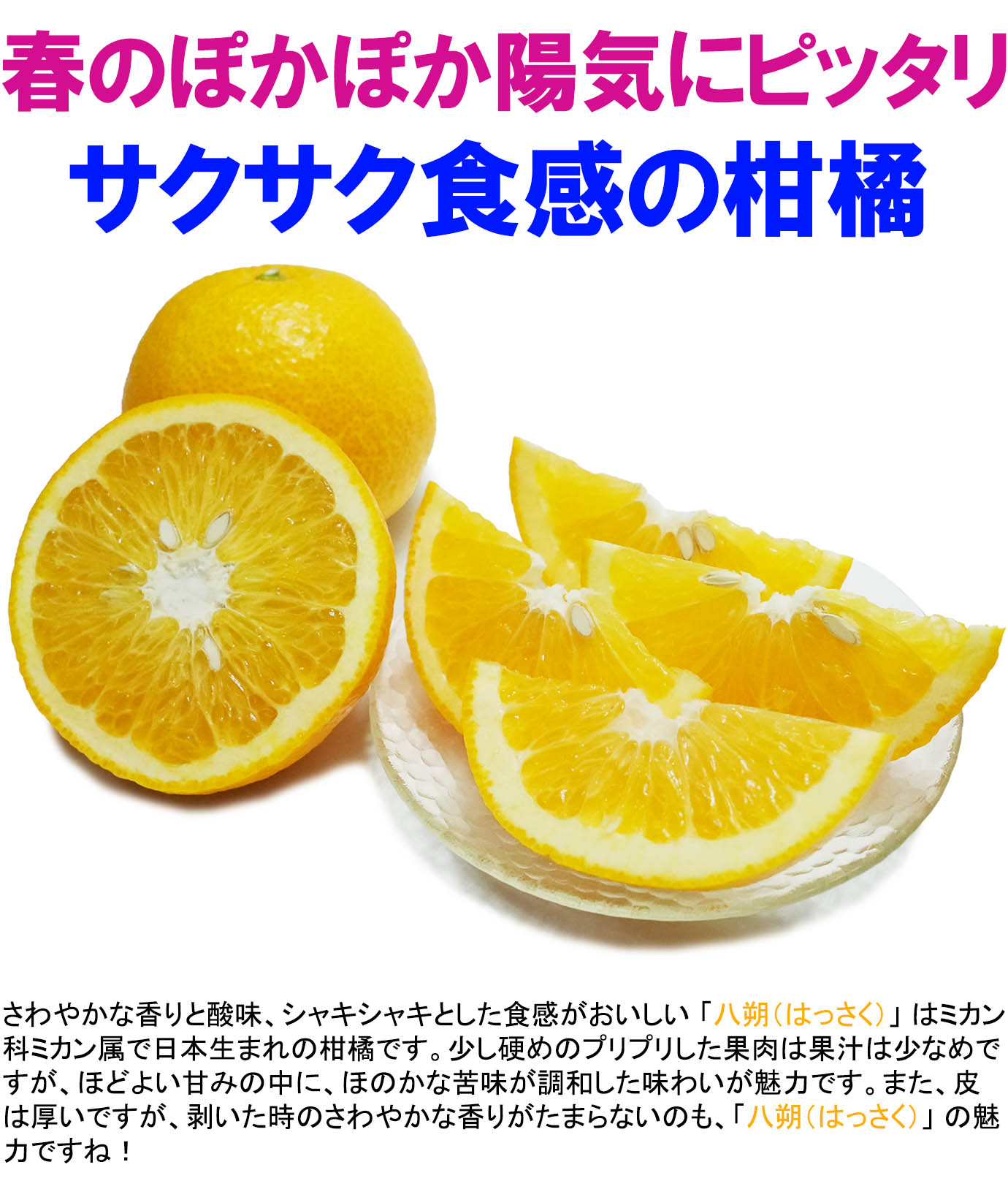 ��ɲ���������̼��� Ȭ��ʤϤä�����