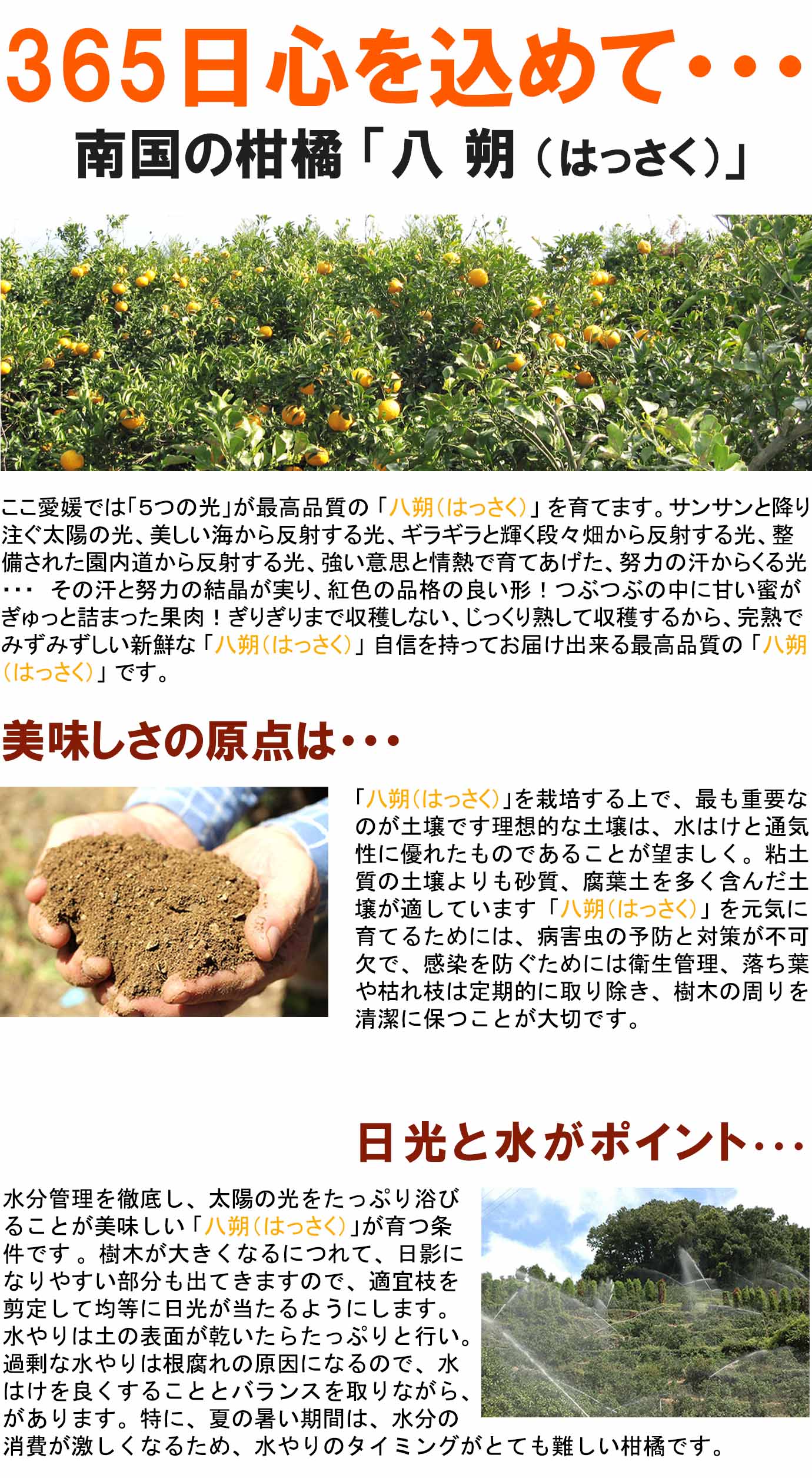 ��ɲ���������̼��� Ȭ��ʤϤä�����