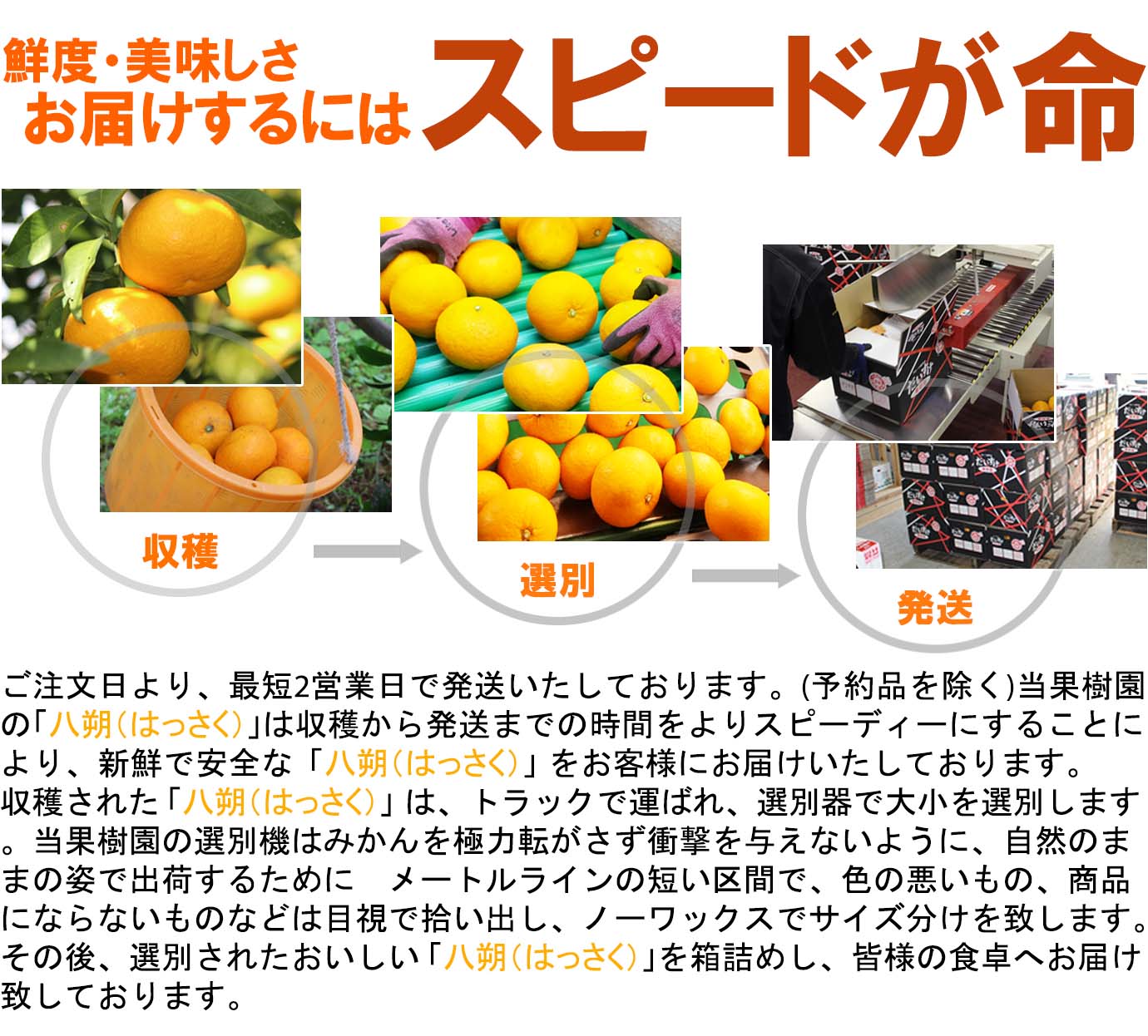 ��ɲ���������̼��� Ȭ��ʤϤä�����