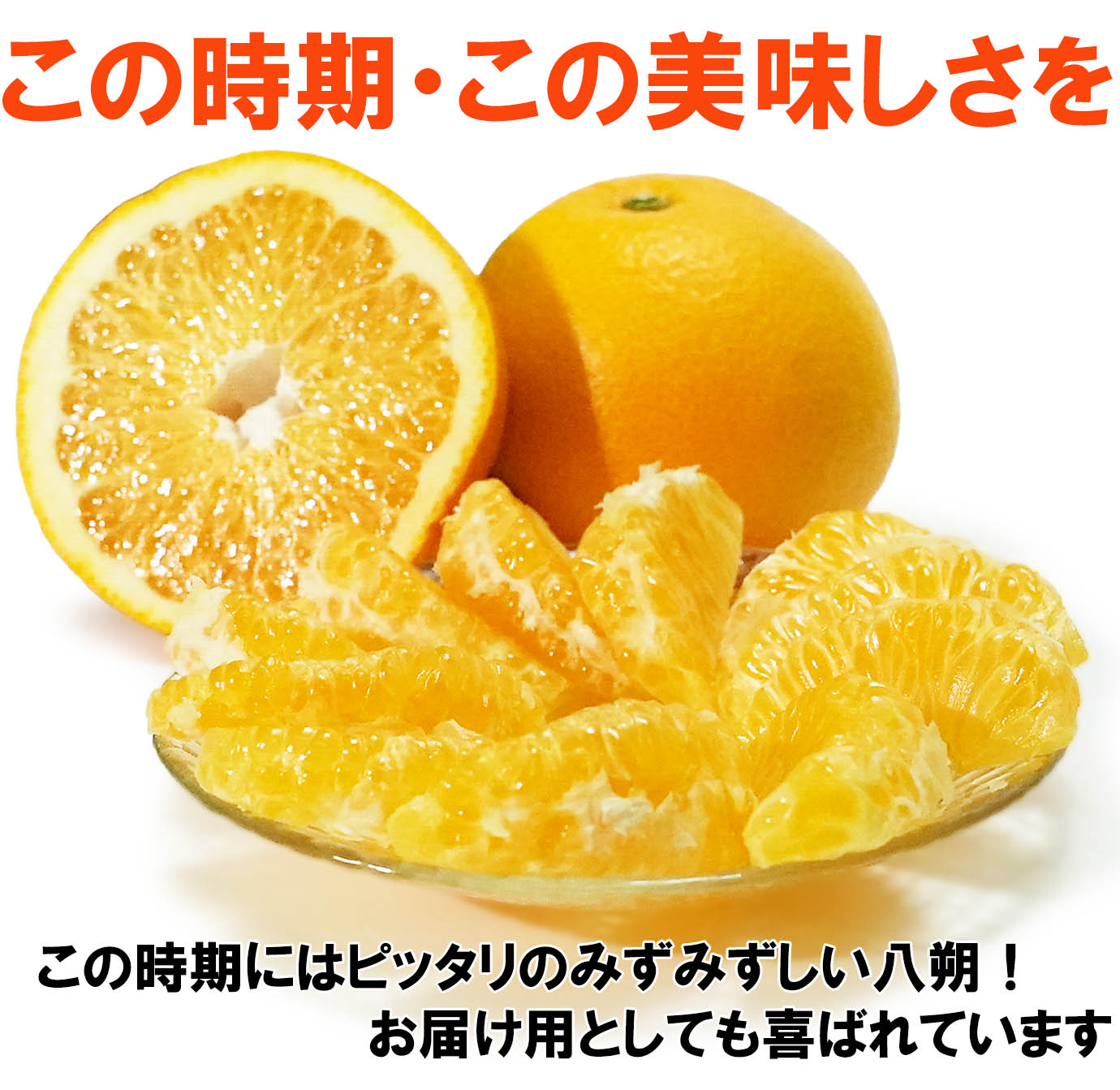 ��ɲ���������̼��� Ȭ��ʤϤä�����