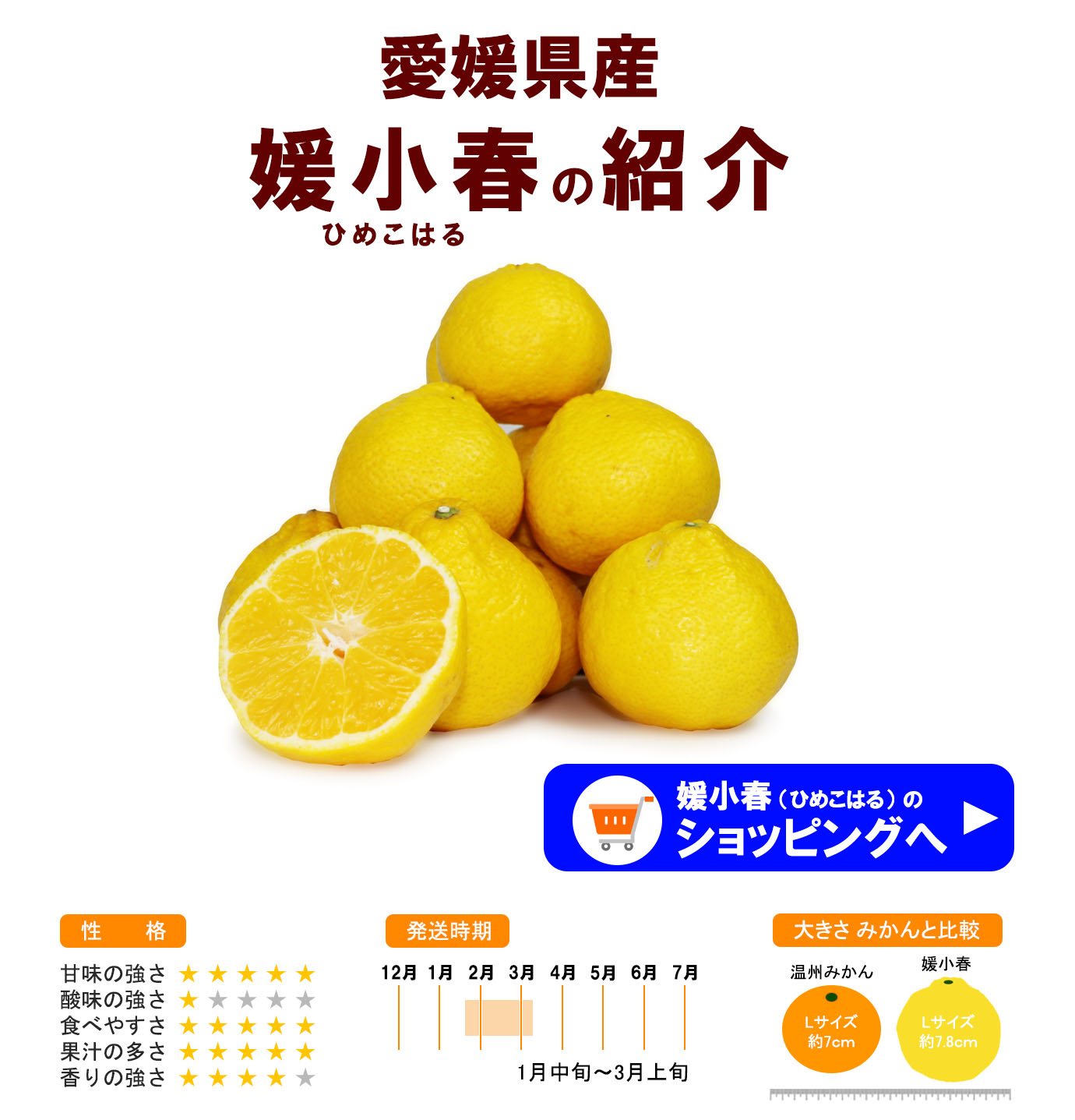 ��ɲ���������̼��� ɲ���աʤҤᤳ�Ϥ��