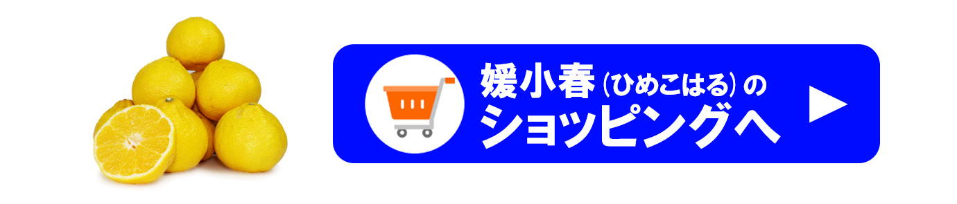 ��ɲ���������̼��� ɲ���աʤҤᤳ�Ϥ��