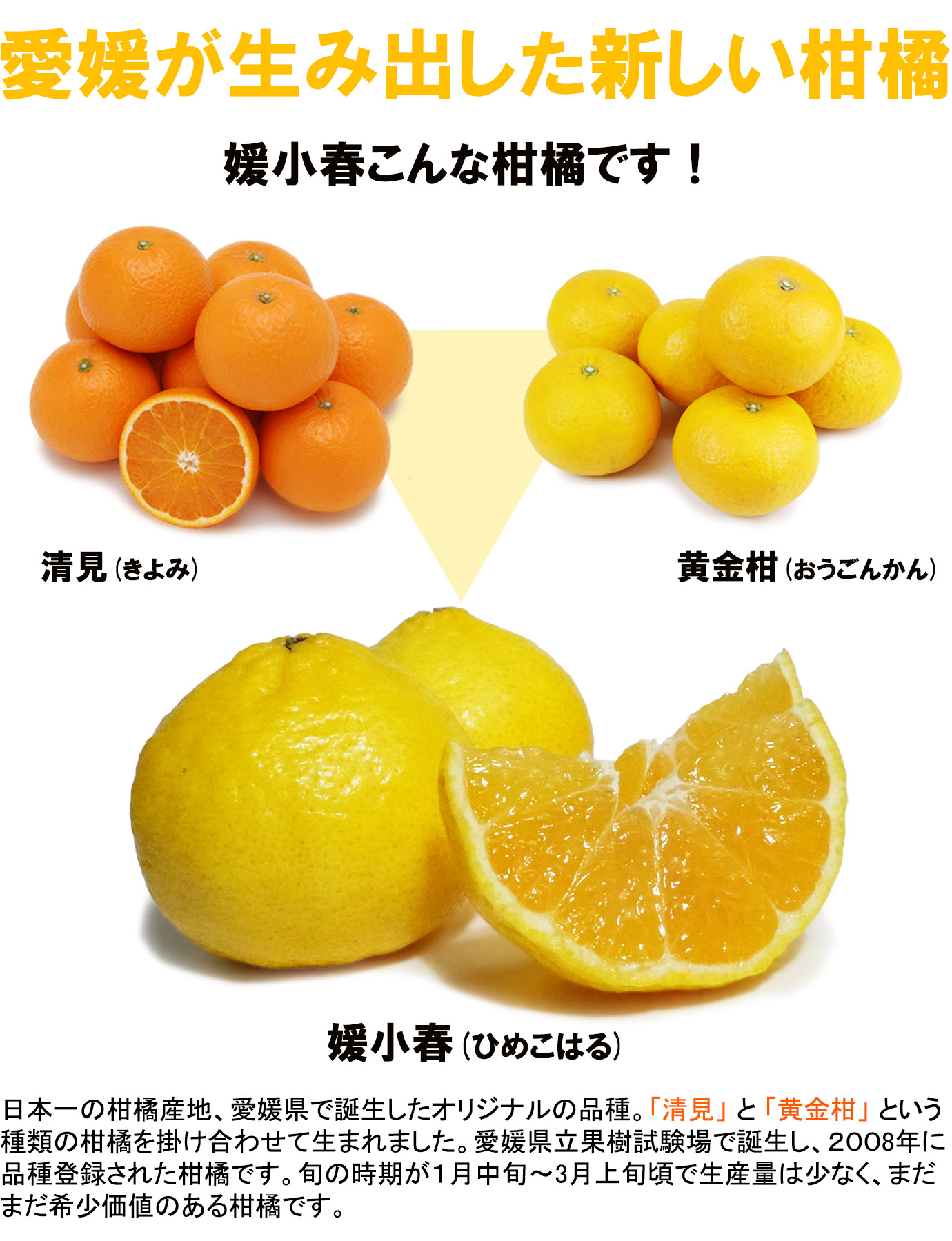 ��ɲ���������̼��� ɲ���աʤҤᤳ�Ϥ��