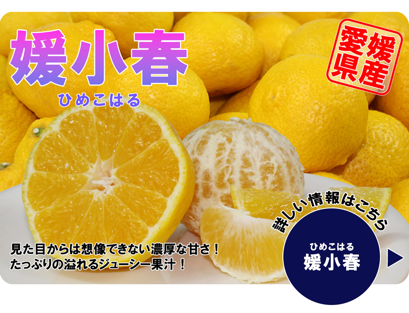 ɲ���աʤҤᤳ�Ϥ��