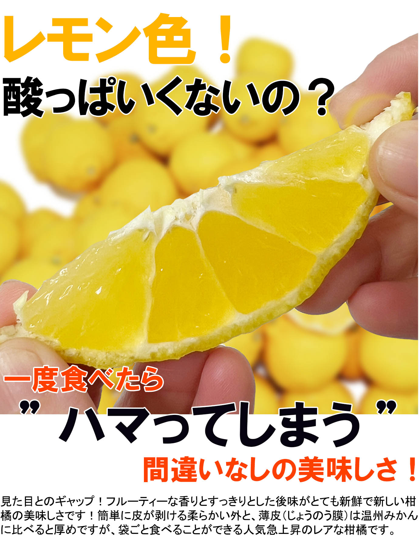 ��ɲ���������̼��� ɲ���աʤҤᤳ�Ϥ��