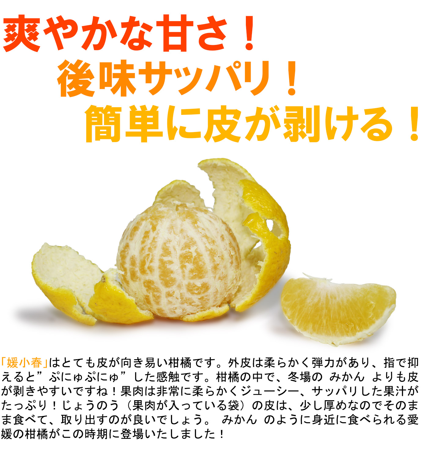 ��ɲ���������̼��� ɲ���աʤҤᤳ�Ϥ��