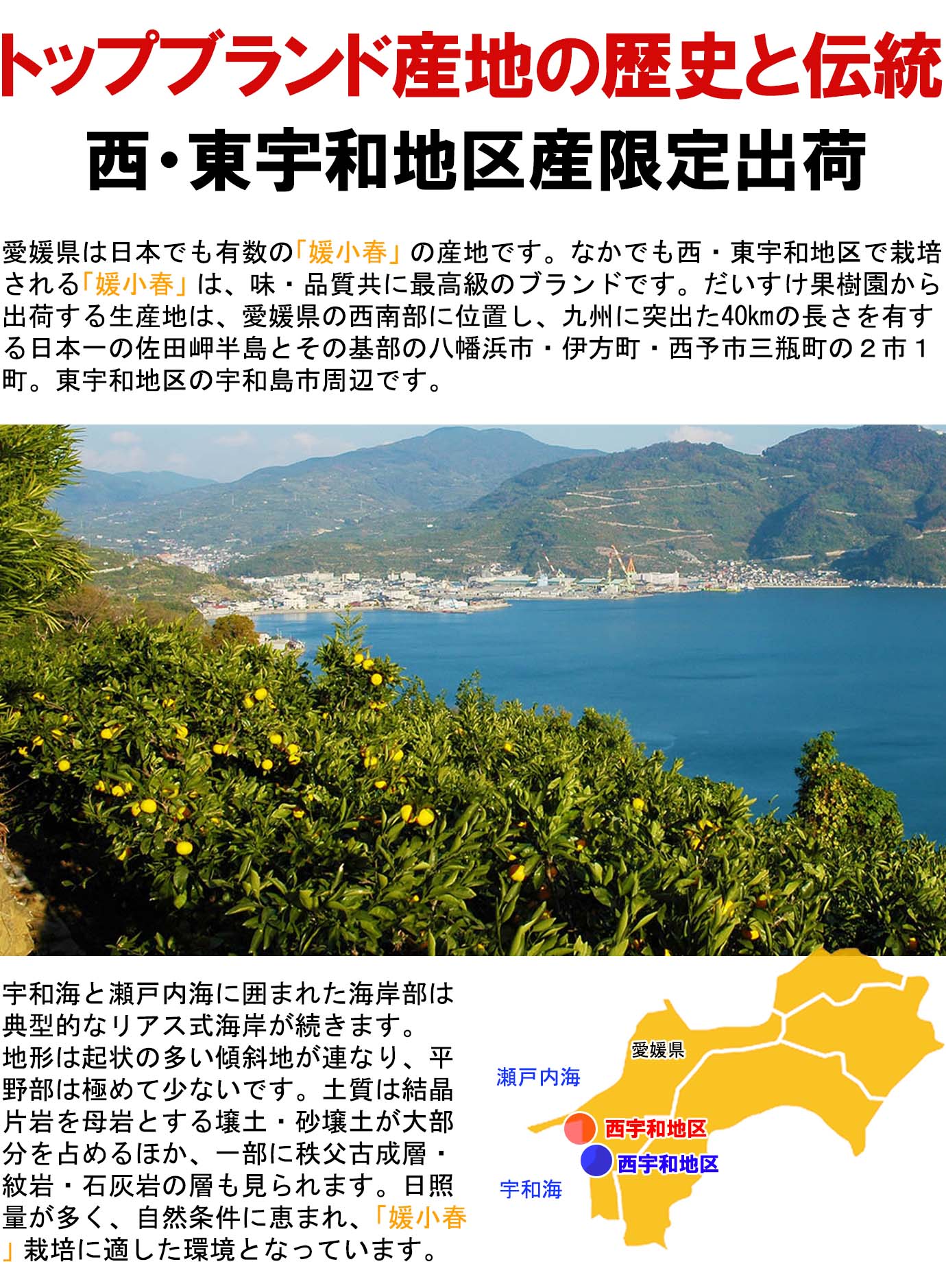 ��ɲ���������̼��� ɲ���աʤҤᤳ�Ϥ��