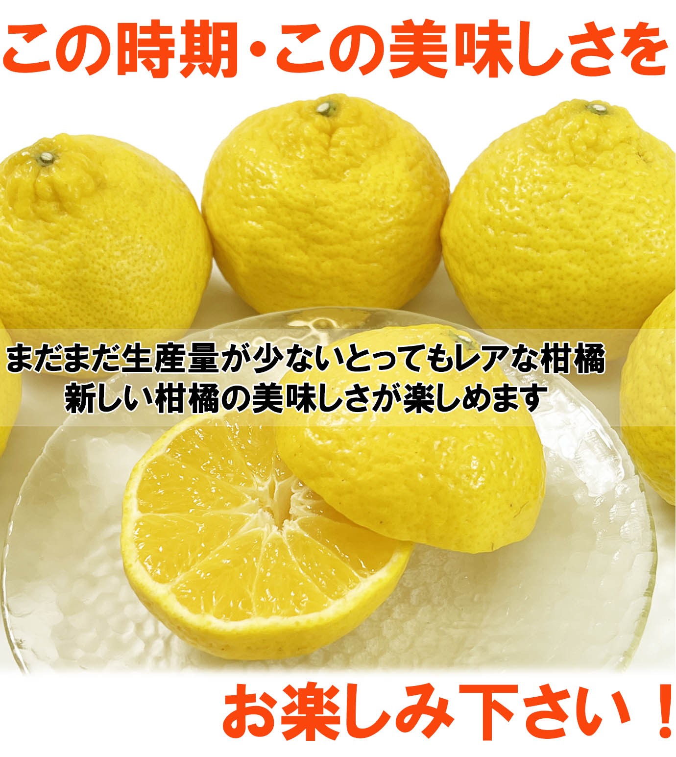 ��ɲ���������̼��� ɲ���աʤҤᤳ�Ϥ��