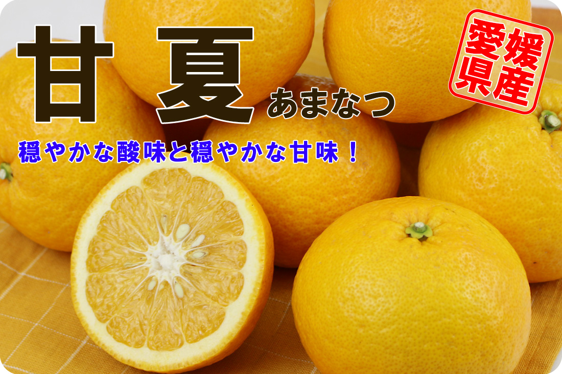 ��ɲ���������̼��� �Ų�