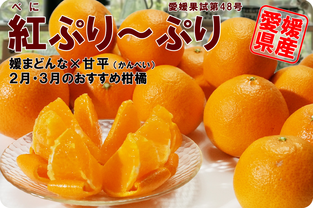 ��ɲ���������̼��� �ȥץ�󥻥�