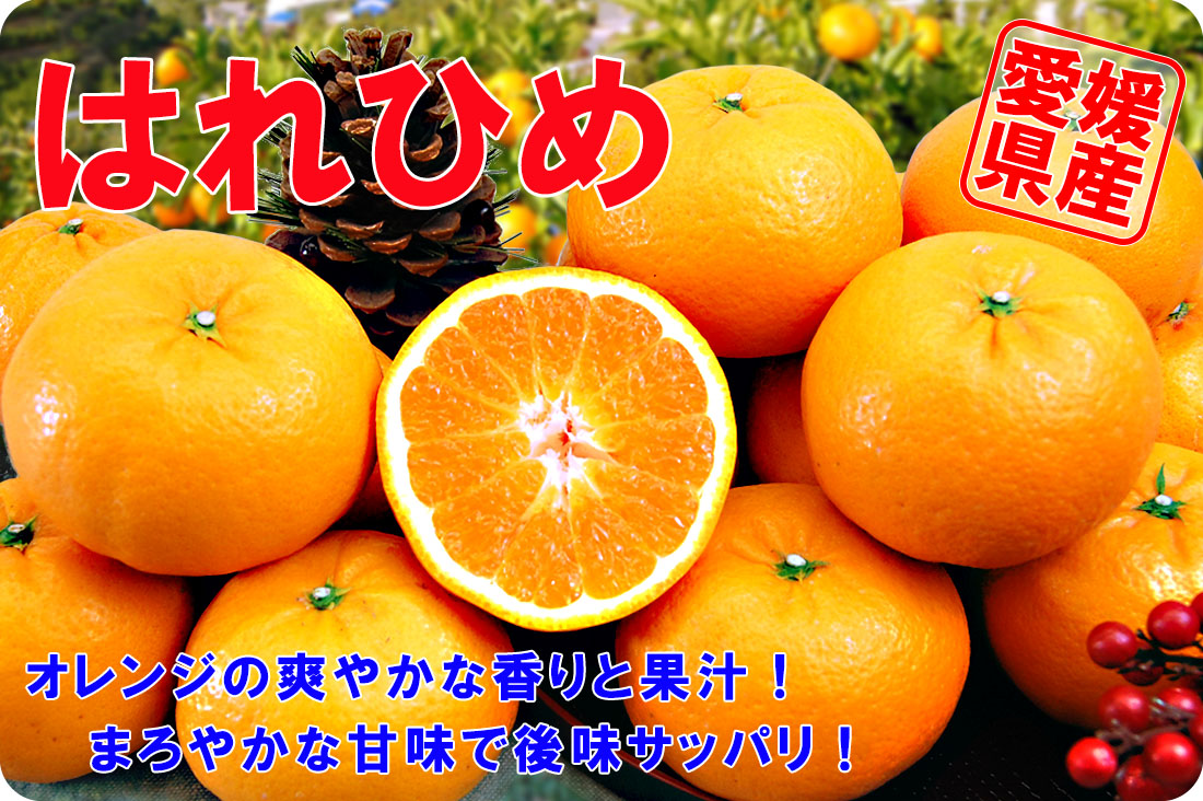 ��ɲ���������̼��� �Ϥ�Ҥ�