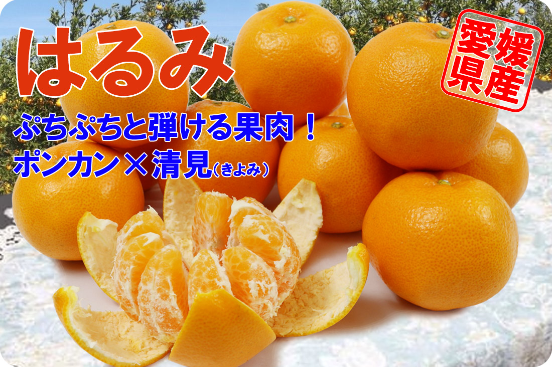 ��ɲ���������̼��� �Ϥ��