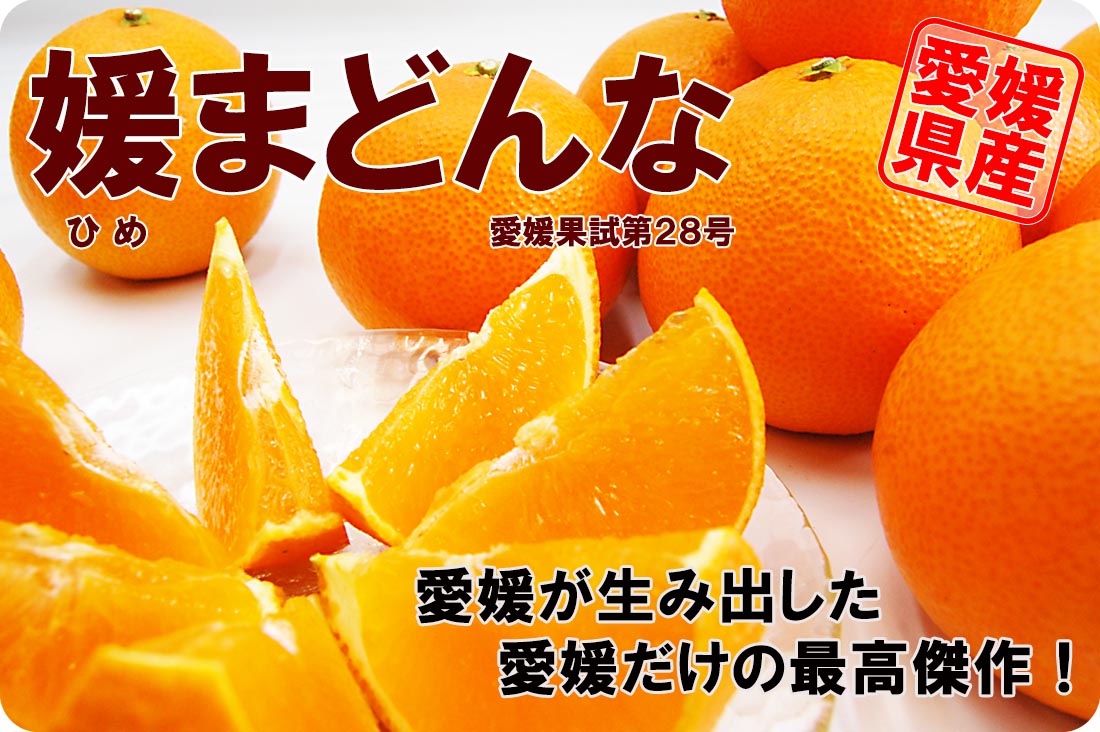 ��ɲ���������̼��� ɲ�ޤɤ��