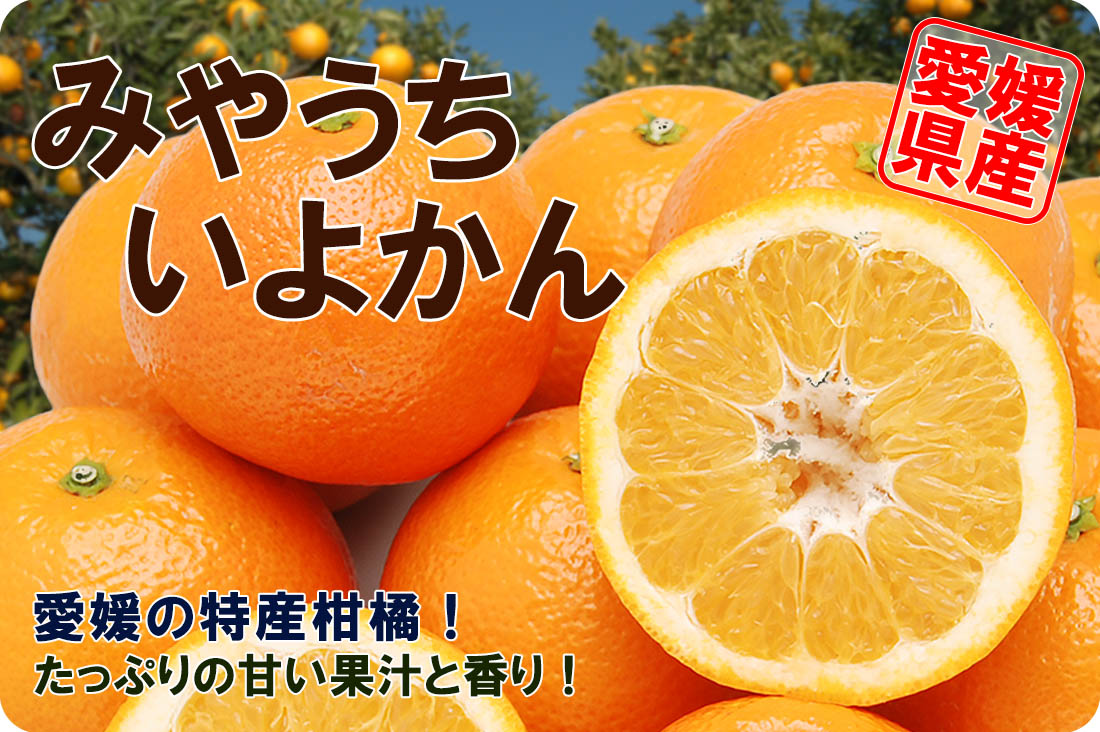 ��ɲ���������̼��� ��ɲ�ߤ���