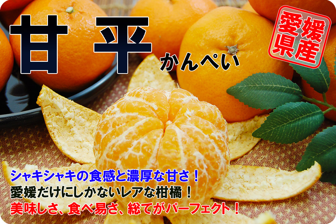 ��ɲ���������̼��� ��ʿ