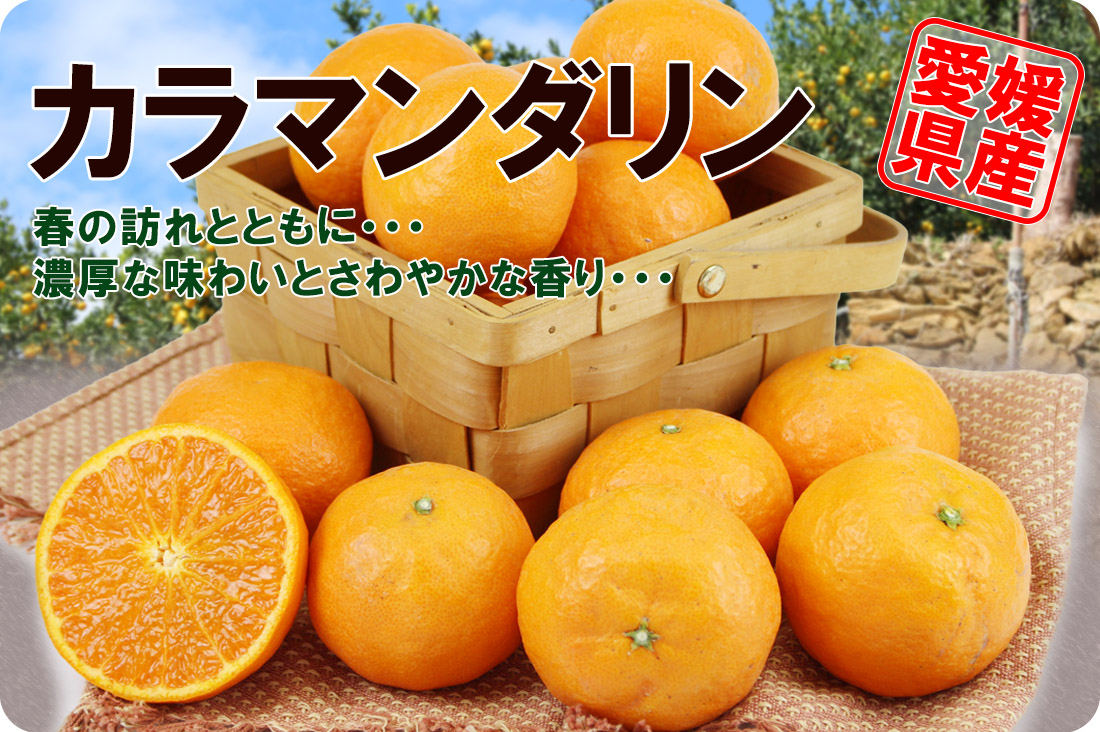 ��ɲ���������̼��� ����ޥ�����