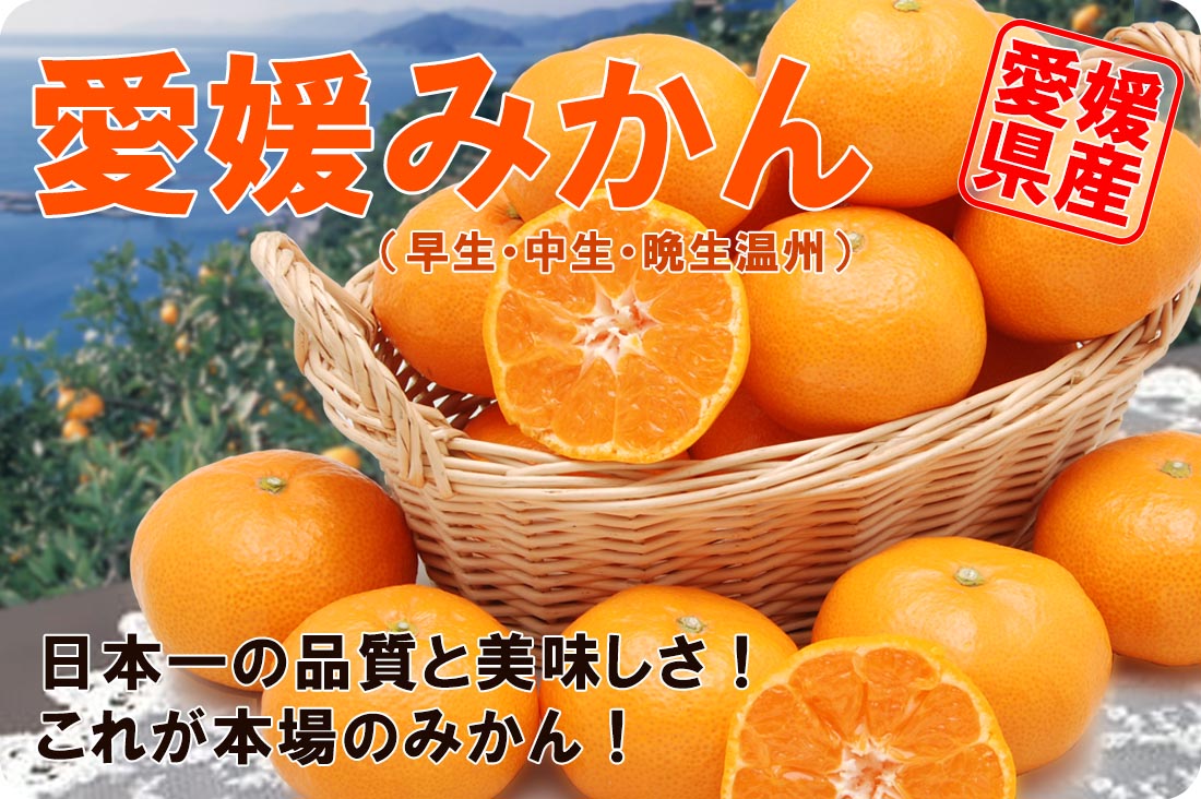 ��ɲ���������̼��� ��ɲ�ߤ���