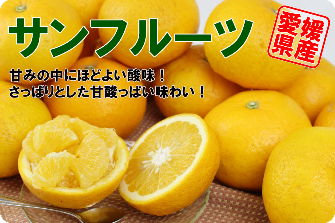 ��ɲ���������̼��� ����ե�