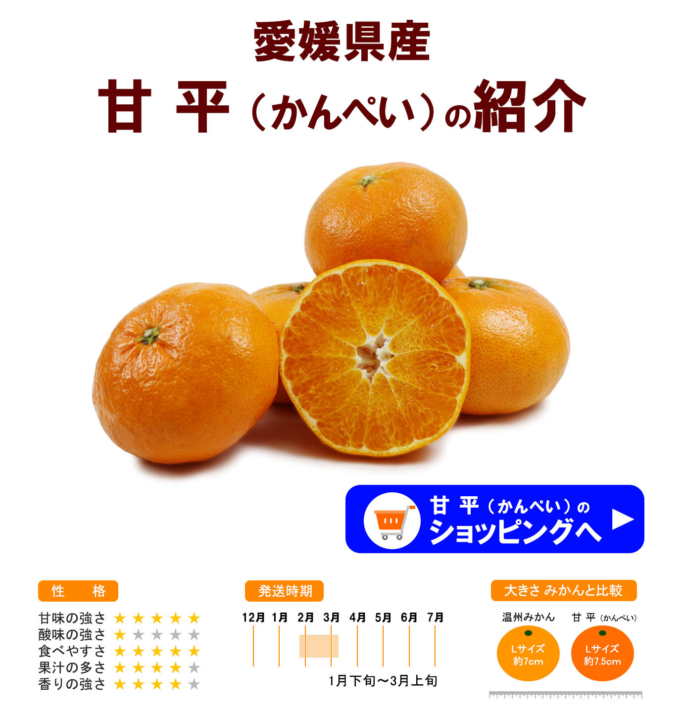 ��ɲ���������̼��� ��ʿ�ʤ���ڤ���