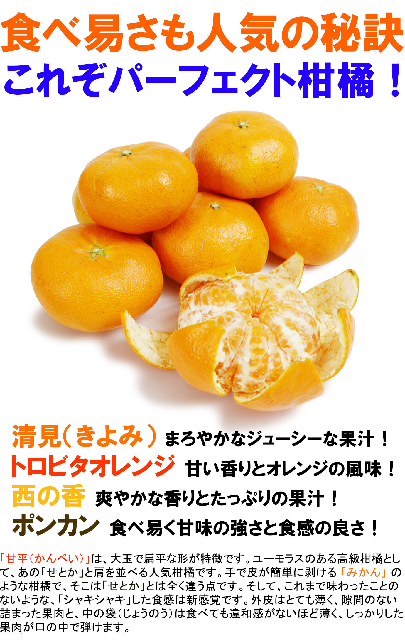 ��ɲ���������̼��� ��ʿ�ʤ���ڤ���