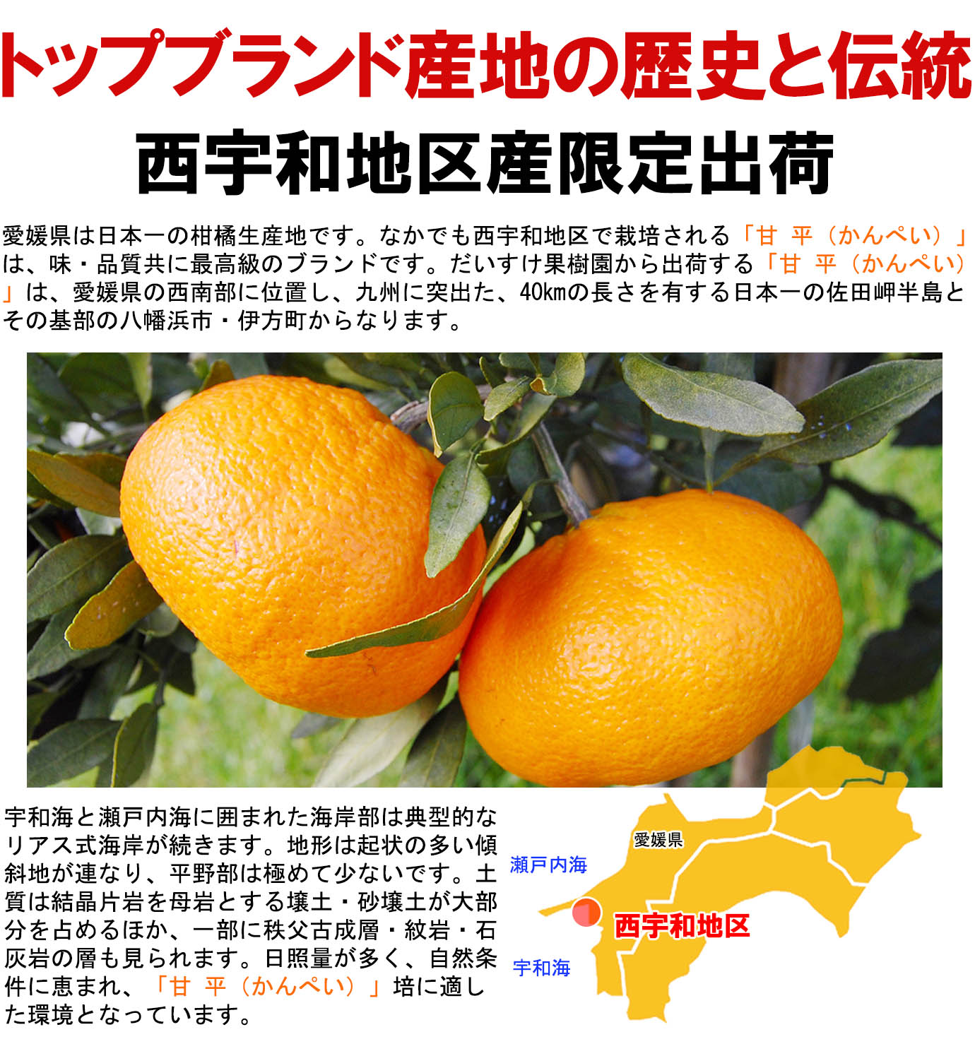 ��ɲ���������̼��� ��ʿ�ʤ���ڤ���