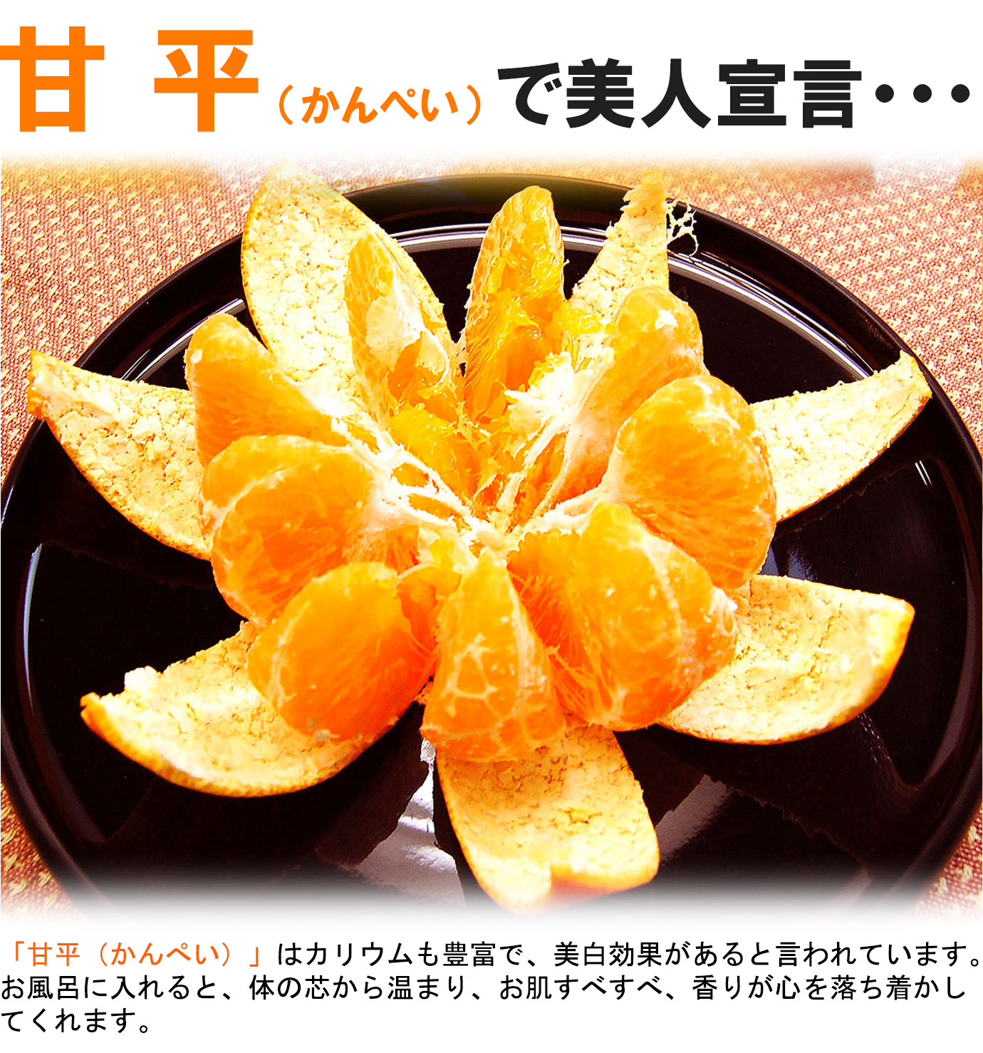 ��ɲ���������̼��� ��ʿ�ʤ���ڤ���