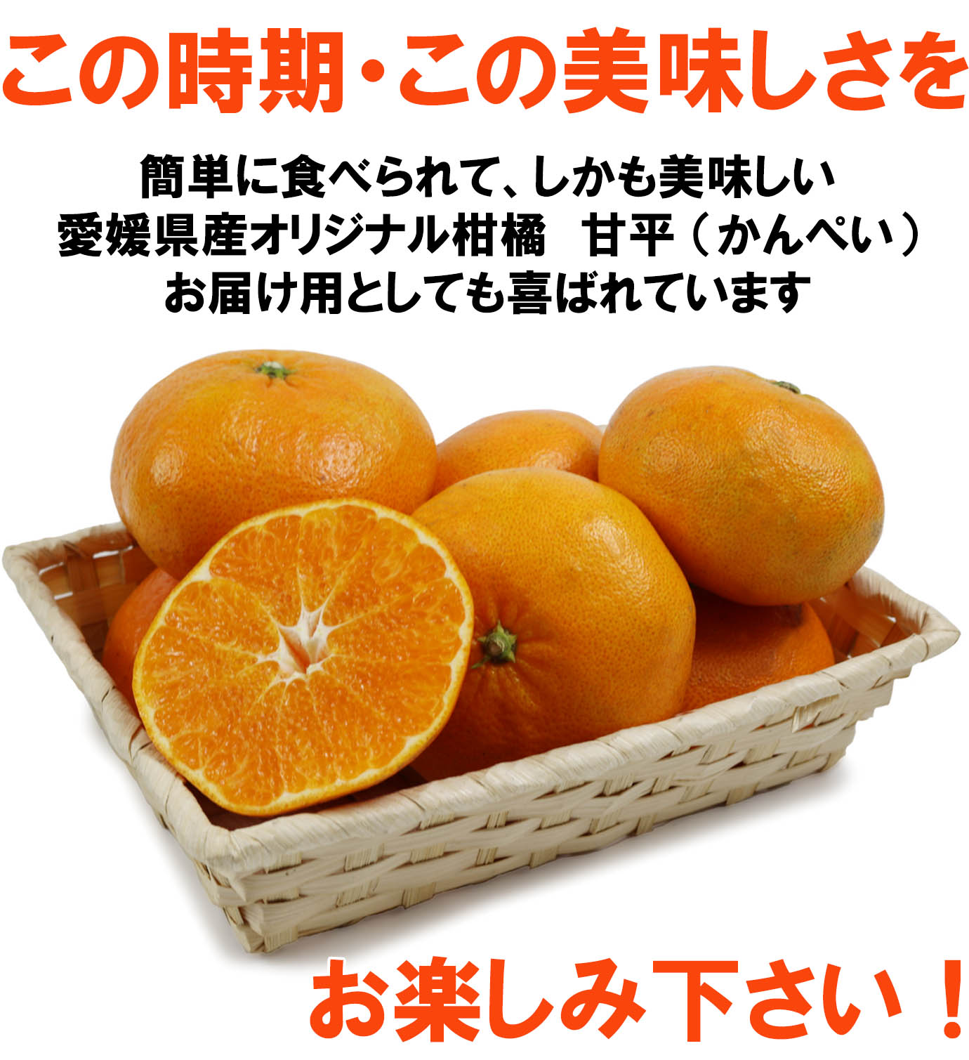 ��ɲ���������̼��� ��ʿ�ʤ���ڤ���