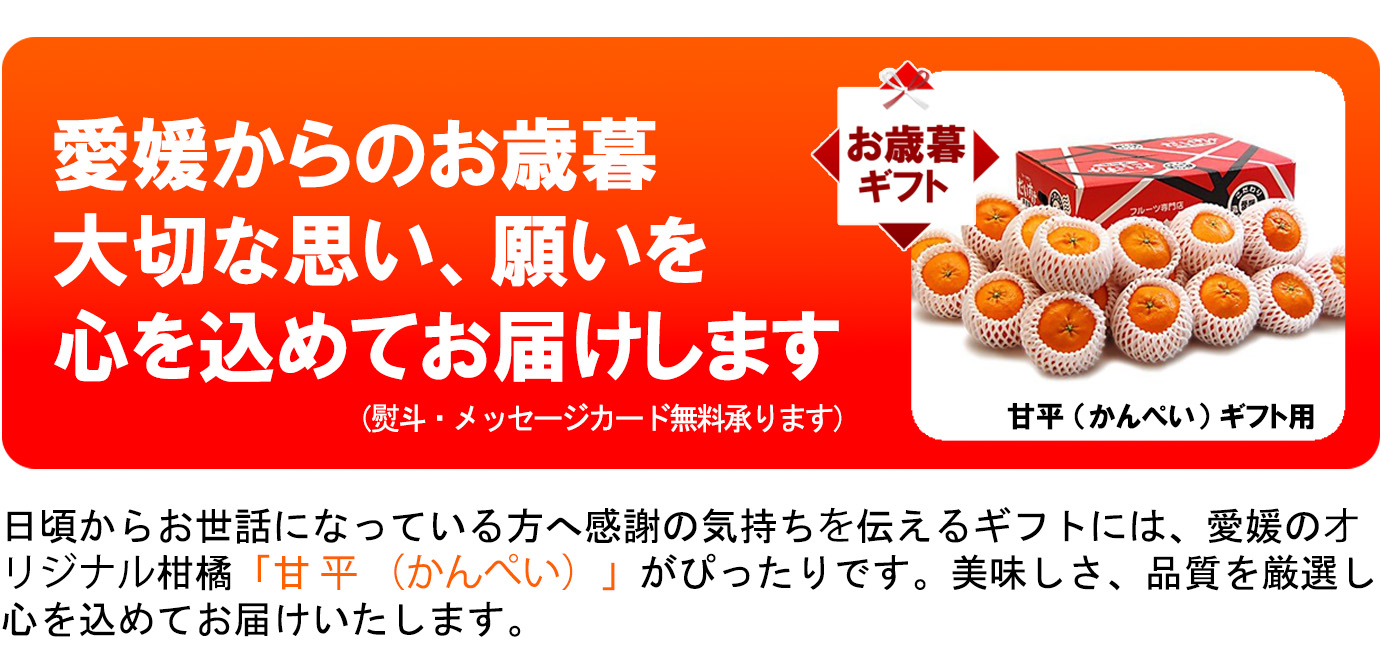 ��ɲ���������̼��� ��ʿ�ʤ���ڤ���