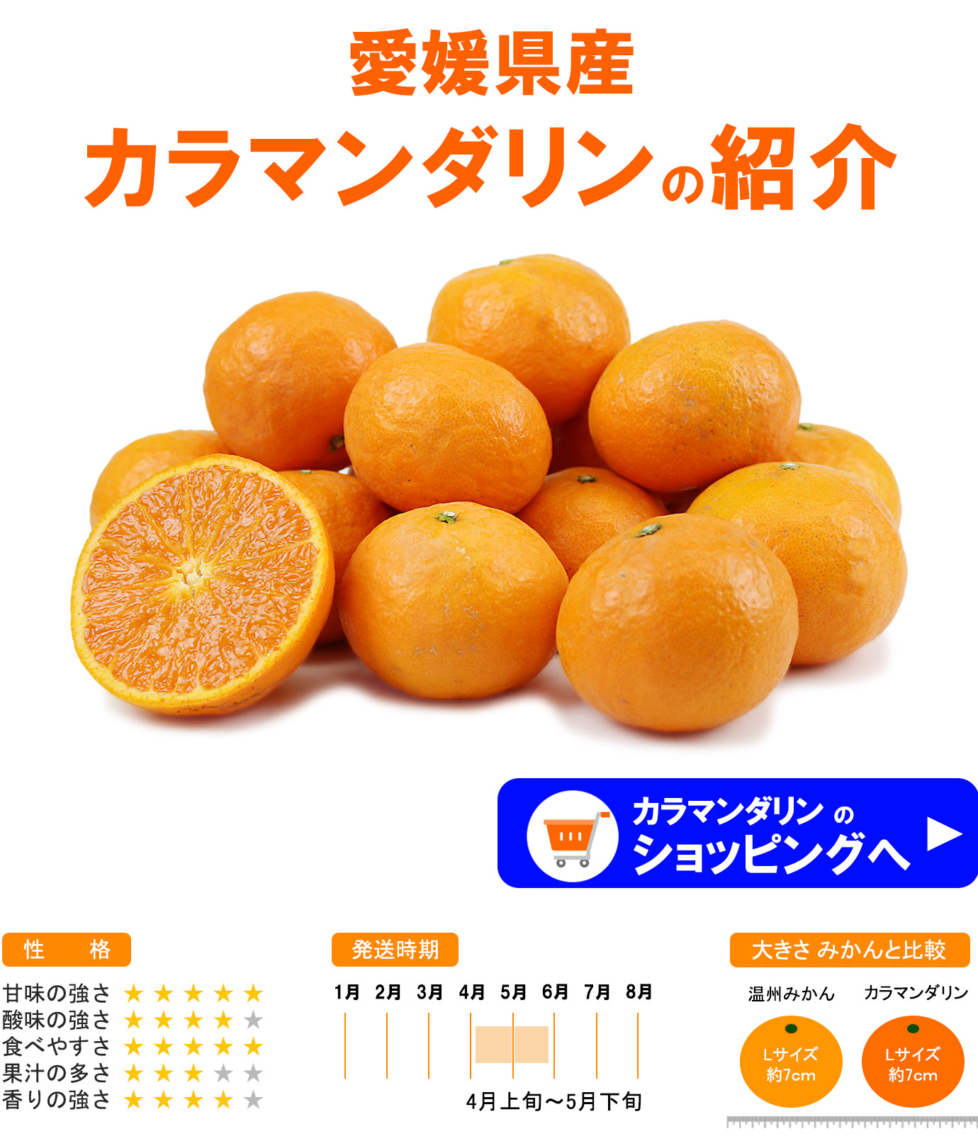 ��ɲ���������̼��� ����ޥ�����